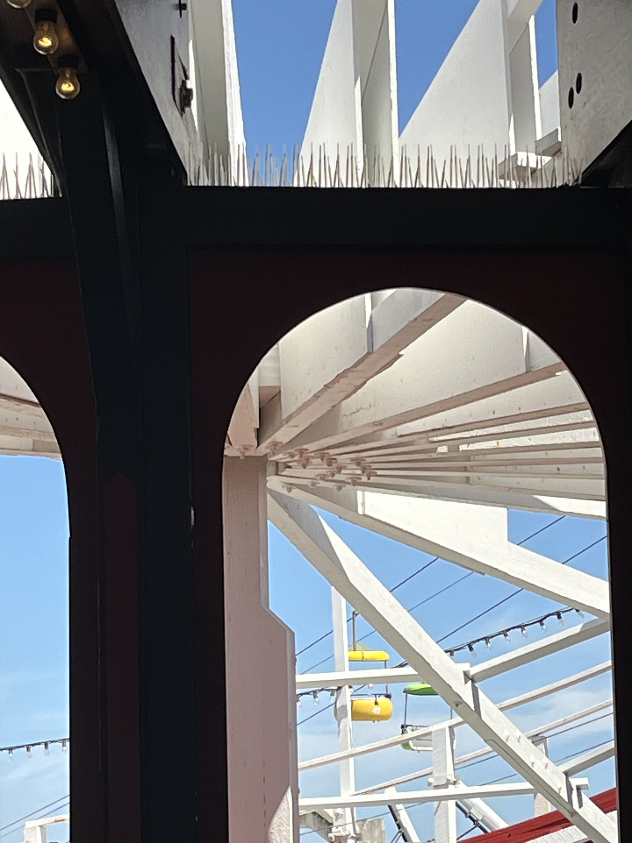 IMG_6182.jpeg
