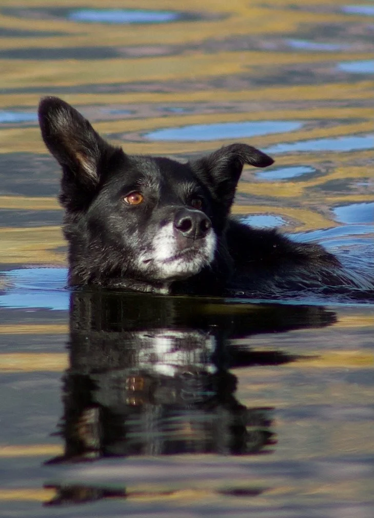 Favorites - 49 of 87.jpeg