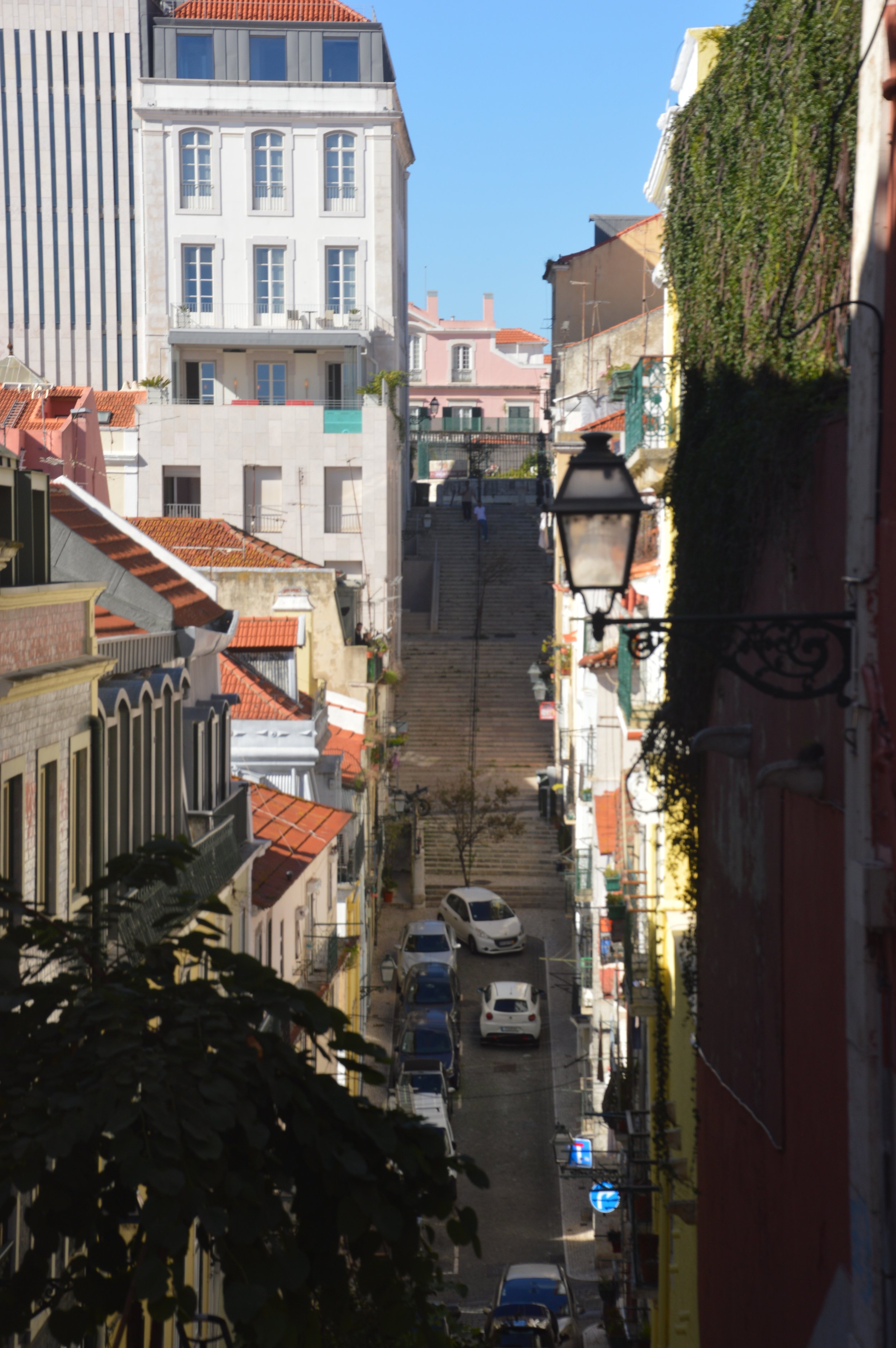 DSC_0459.jpeg