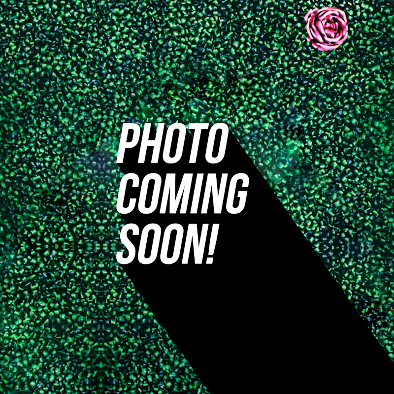 A woman with long braided hair smiling, wearing a black uniform with a logo for Pink Caviar Lash & Brow Spa, standing in front of a green leafy wall with pink flowers.