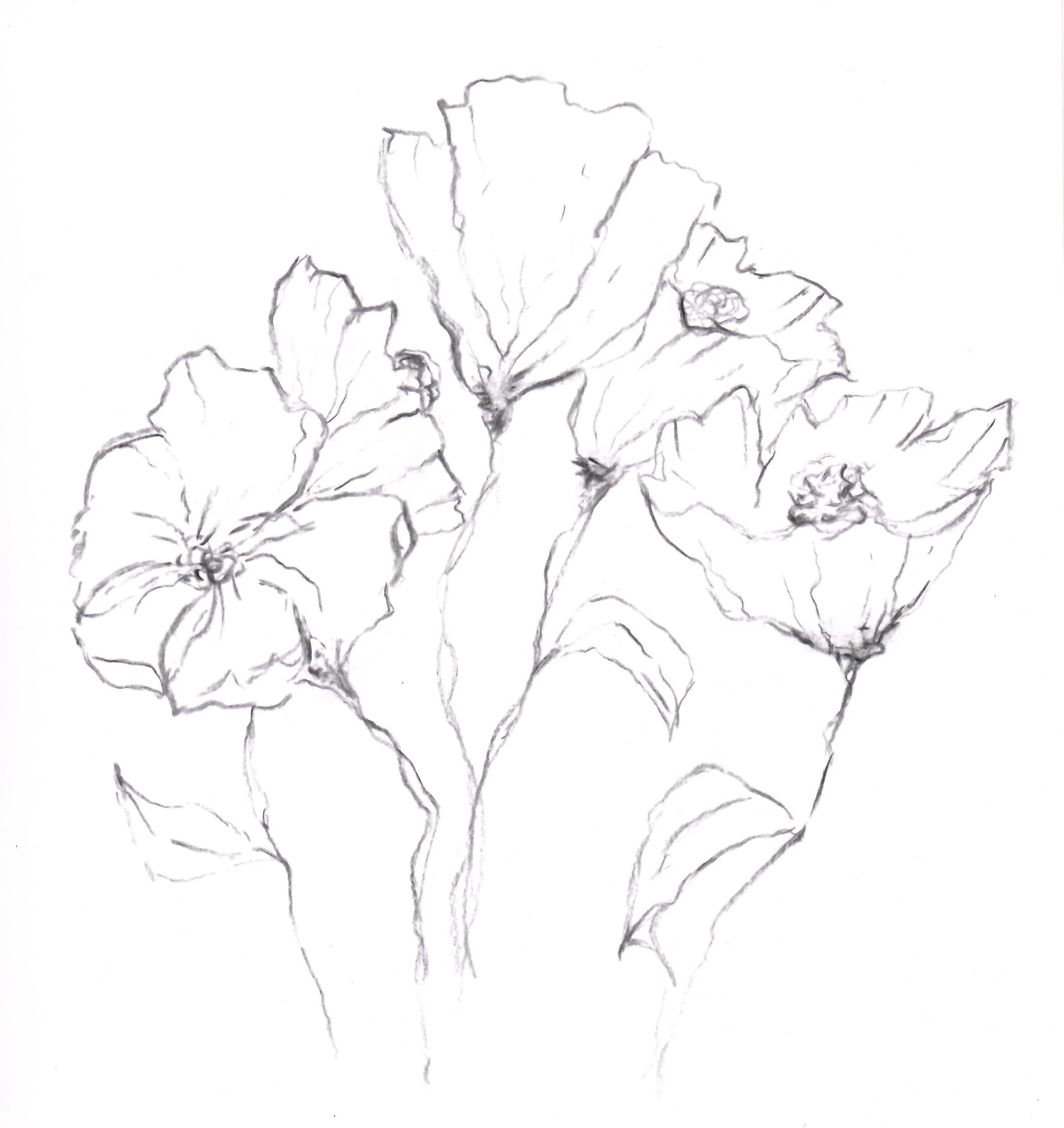 Study 05