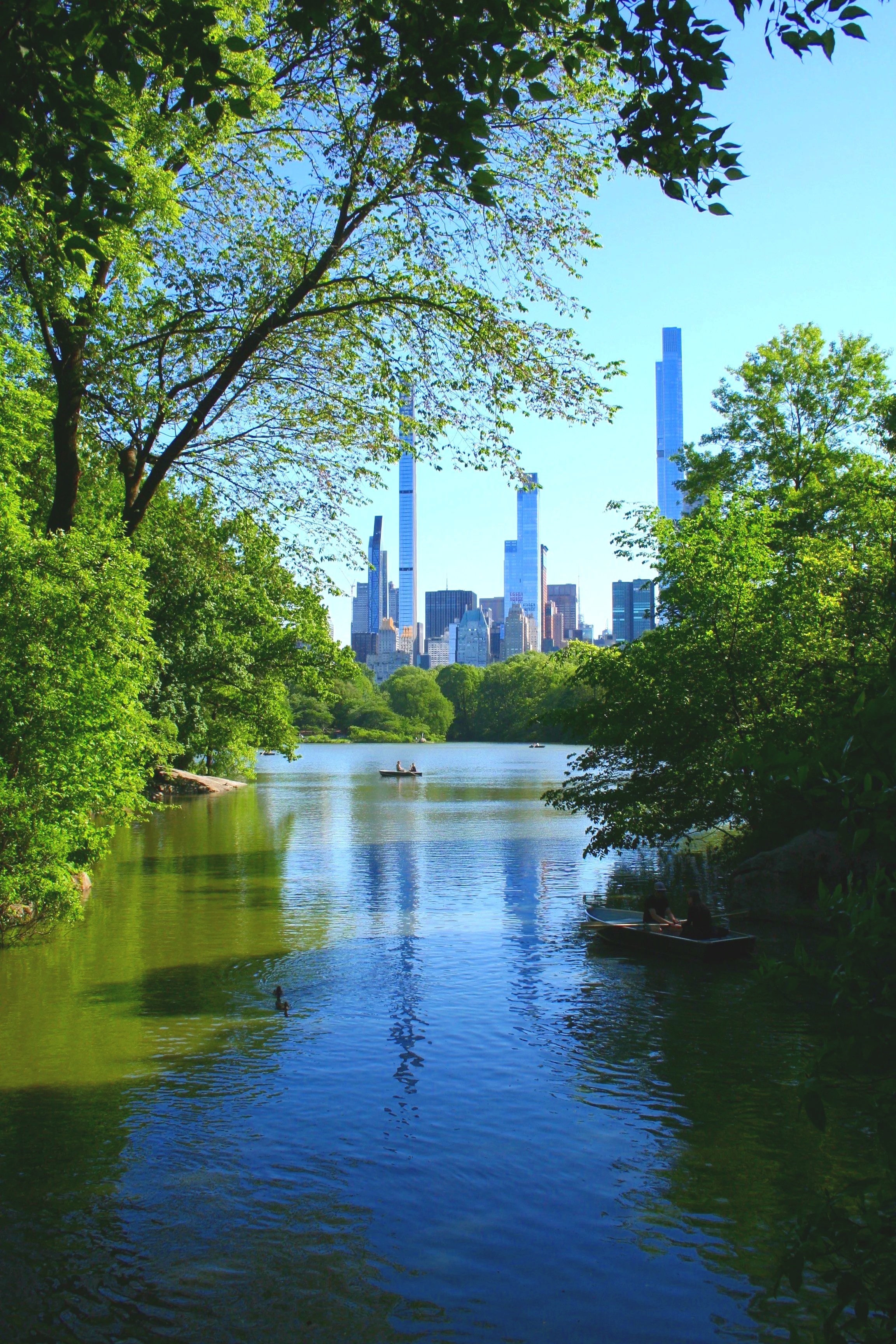 The Ramble is the Reason You Never Have to Leave New York City to Hike.