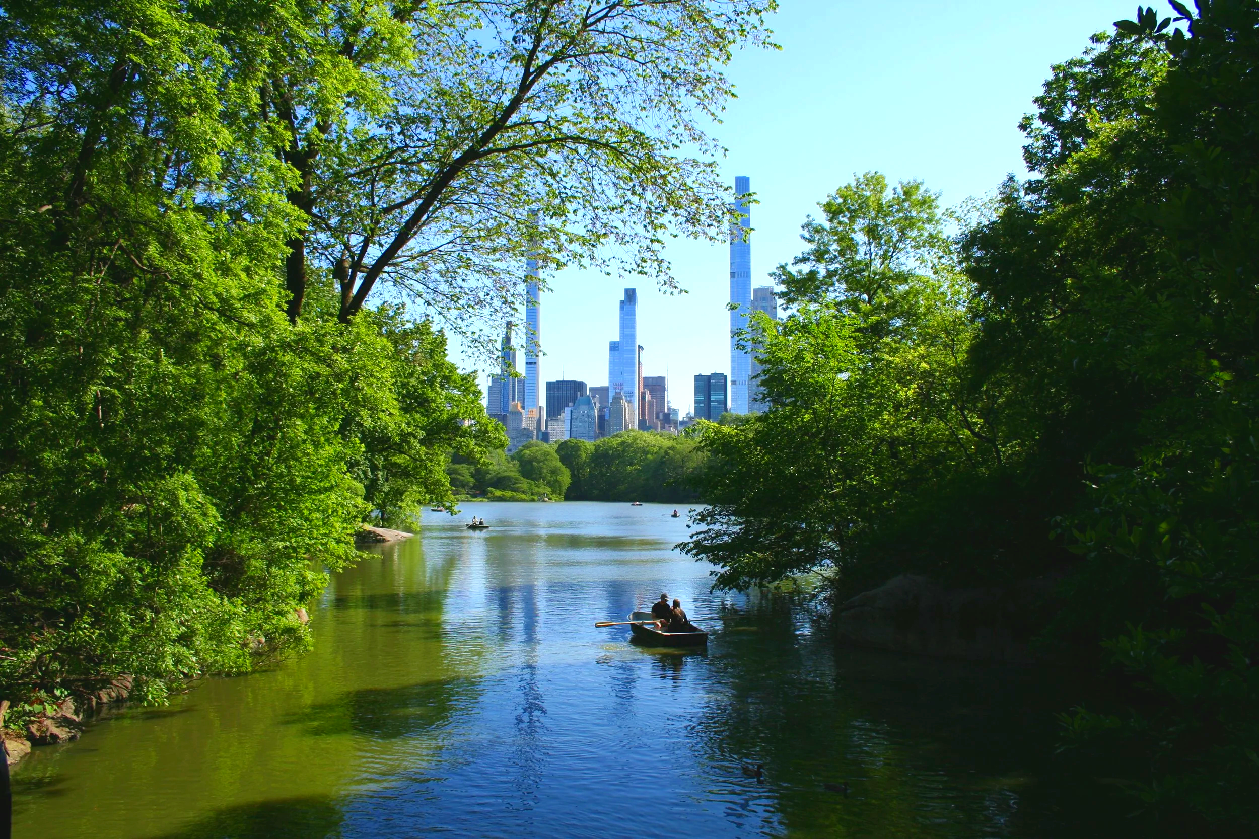 A vibrant lake with tall buildings in the background and green vegetation lining the water, best hikes in new york, the Ramble, Central Park