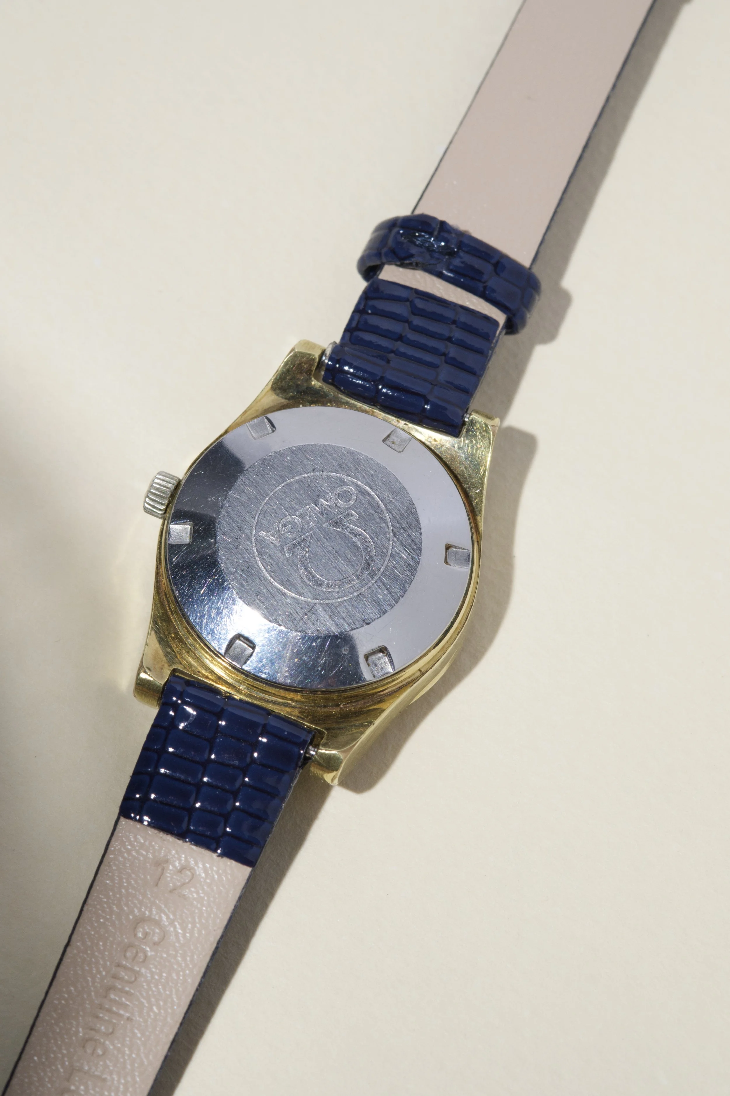 DSCF5675.jpg