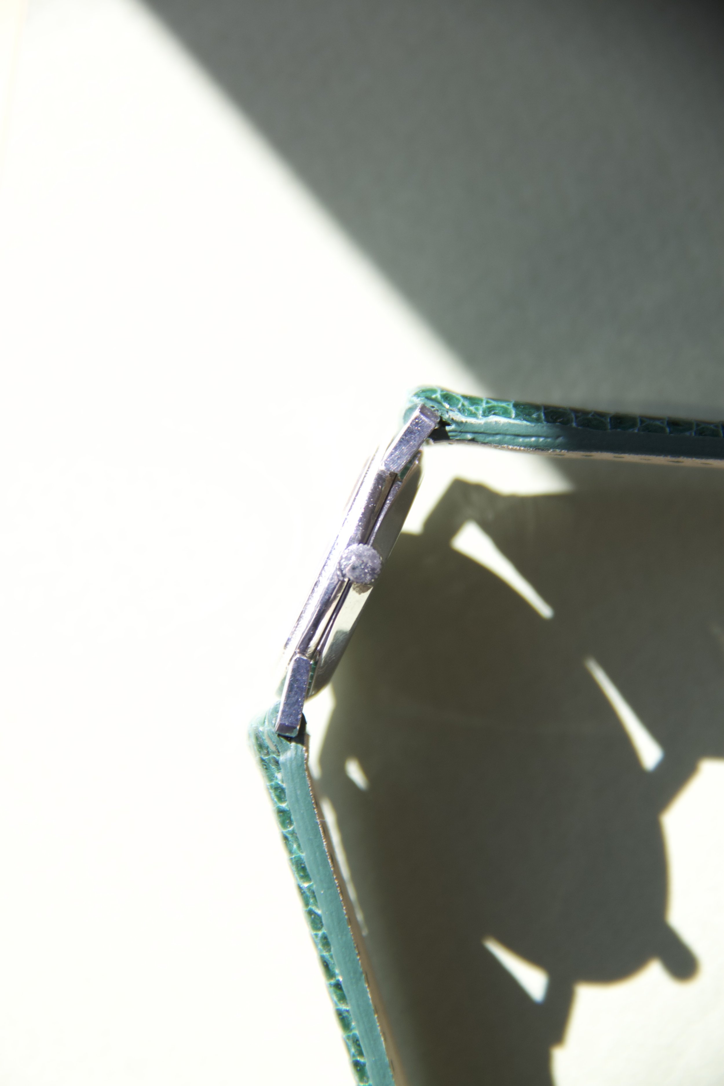 IMG_1720.jpeg