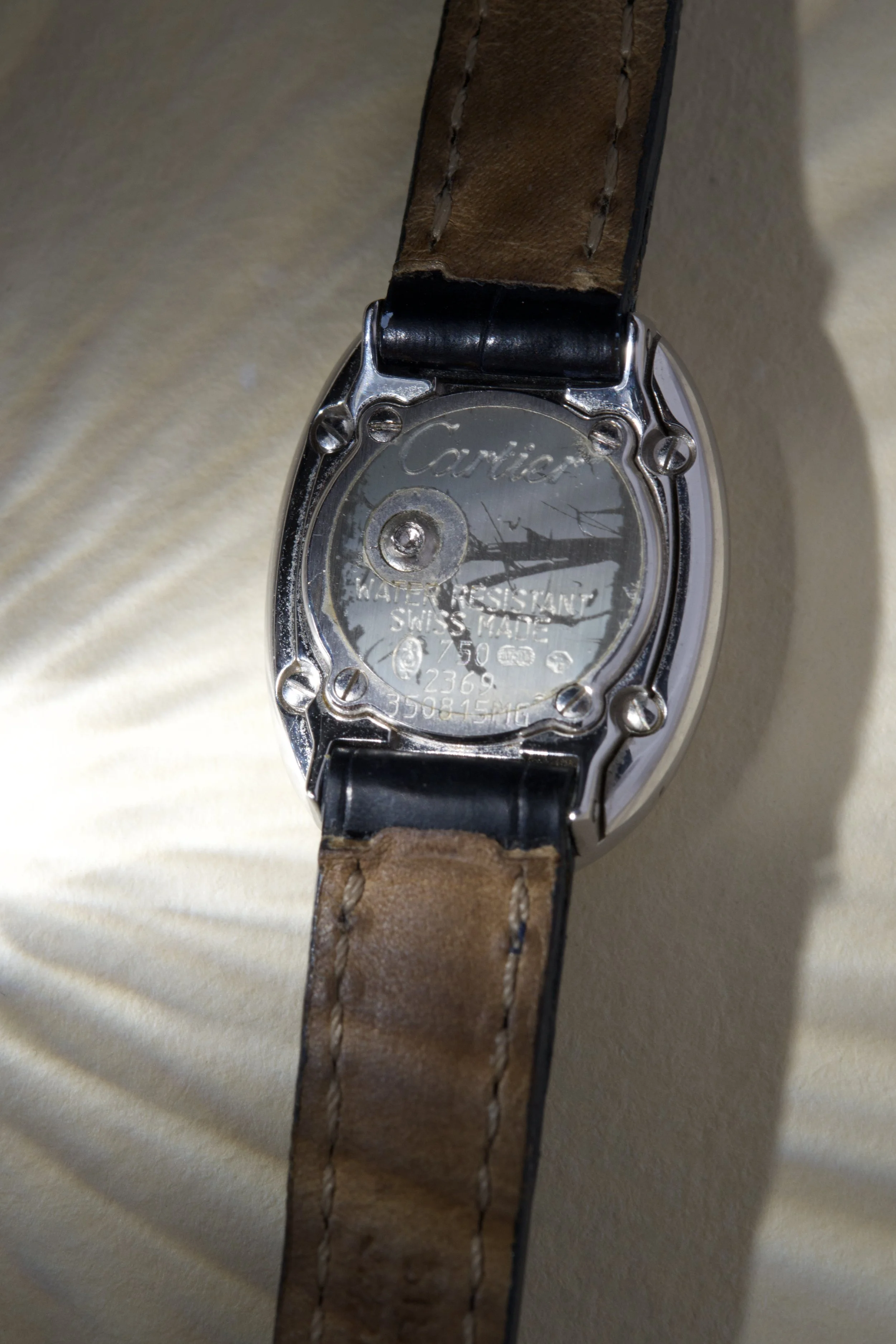 DSCF5533.jpg