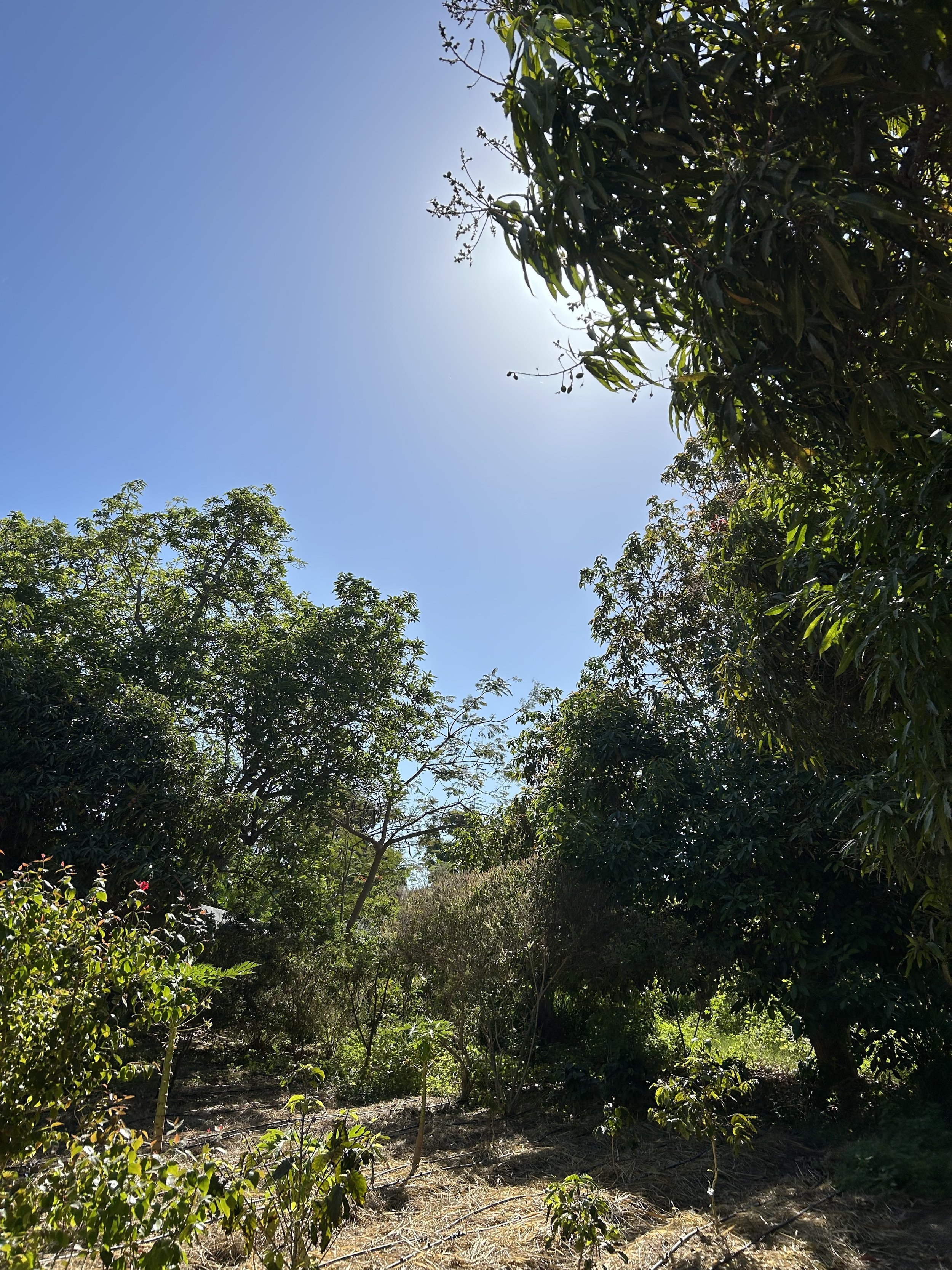 FLYER TALLKER BOISQUE PS.jpg