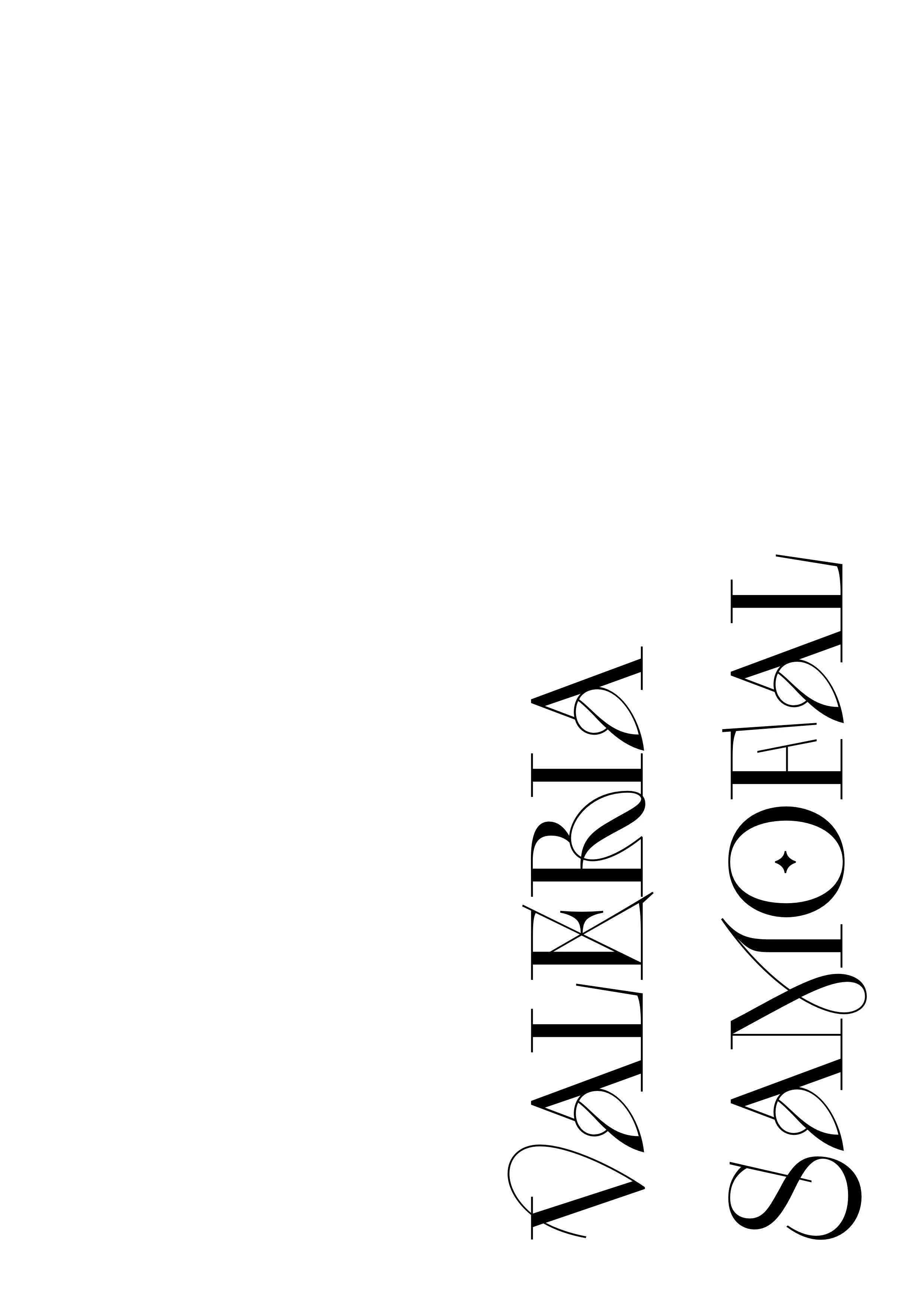 IMG_8228.jpeg