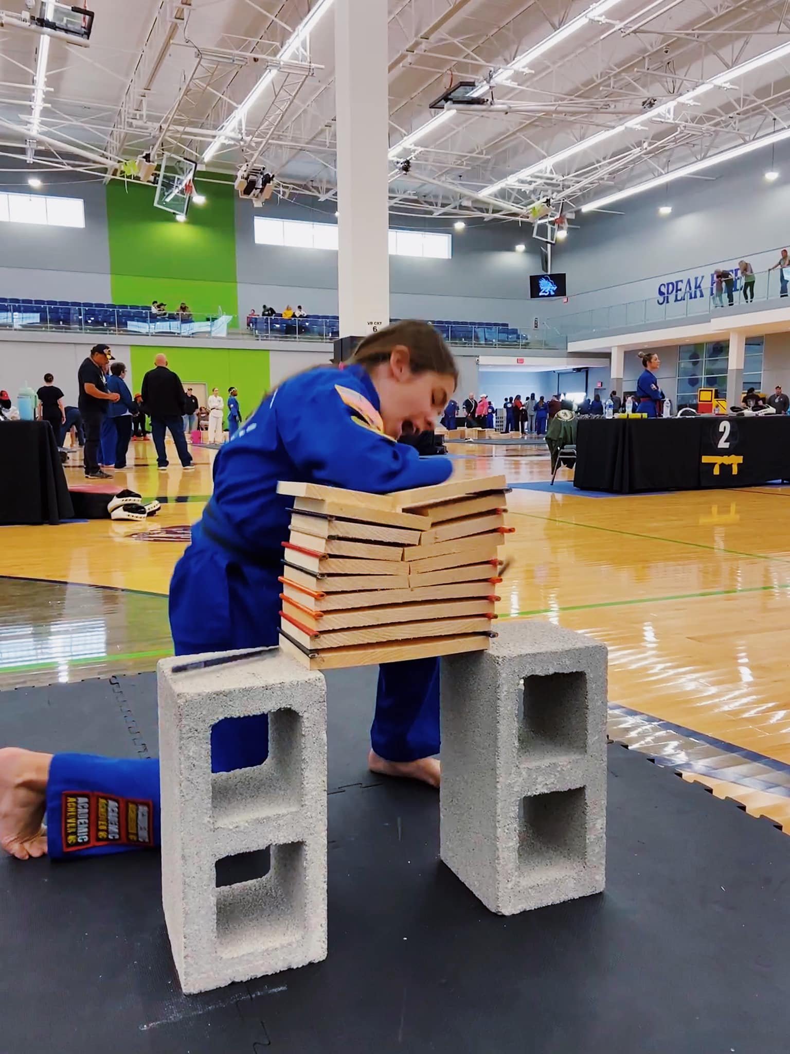 Martial artist breaking wooden boards in a gymnasium setting with spectators