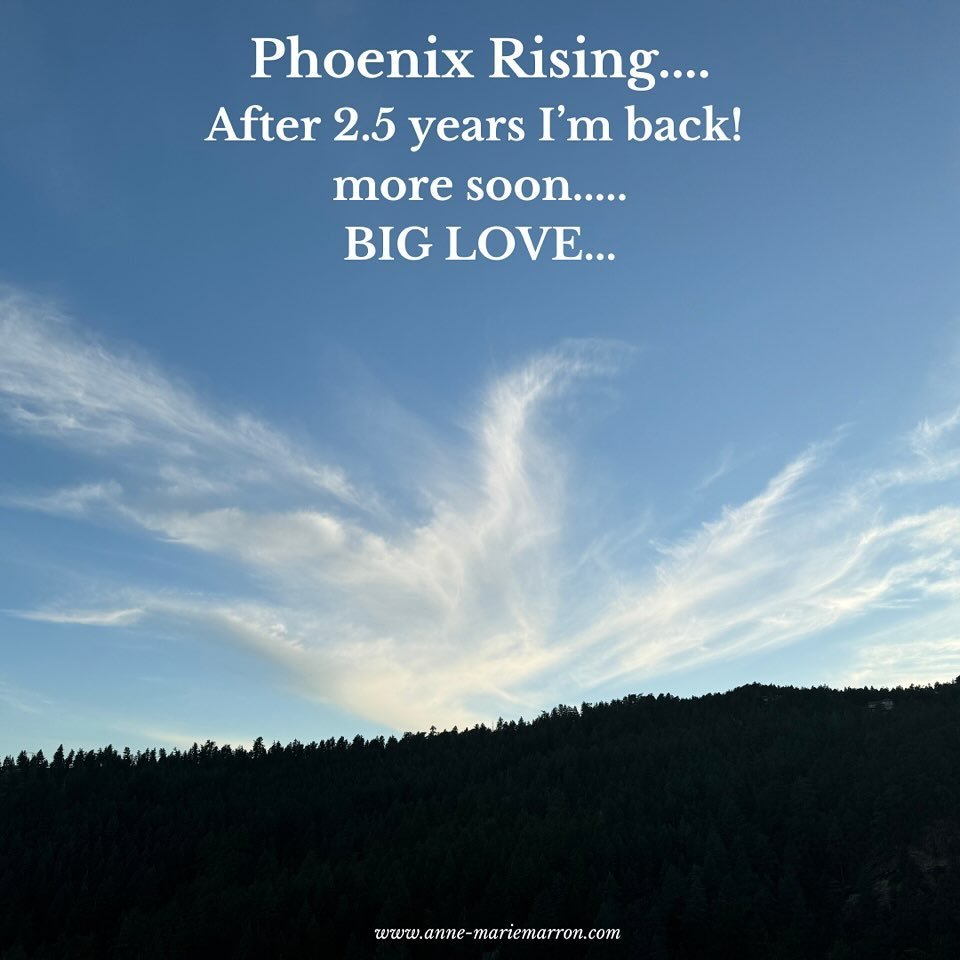 It&rsquo;s been 2.5 years of another dissolution and deconstruction. 

A month ago I was preparing to travel to New York for a Dakini training @sensualalchemistress  and the night before I departed I was praying on my deck for guidance around my call