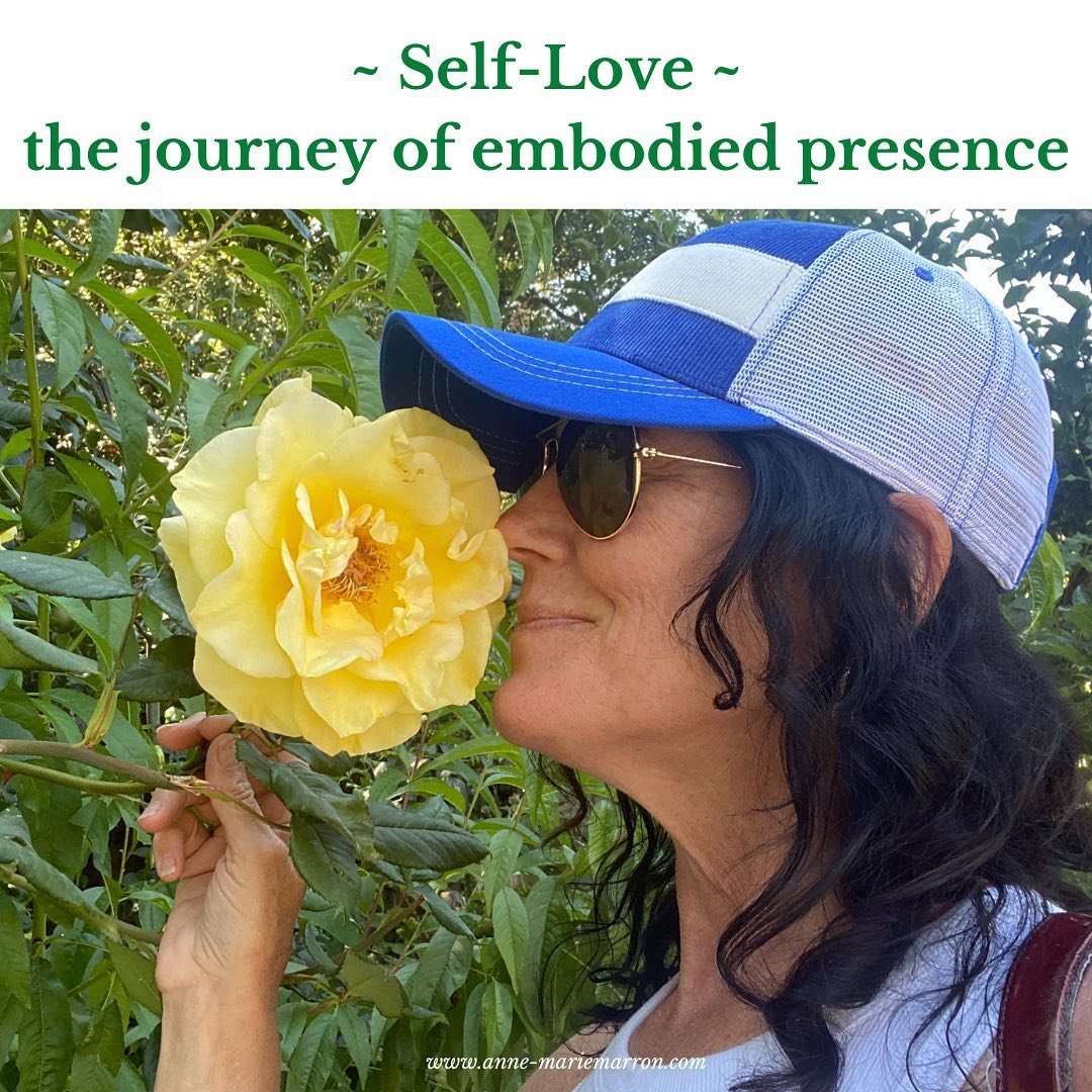 In this blog article, entitled: Evolutionary Relationships - are you conscious of what you&rsquo;re creating?

I explore the intense power of attachment bonding from the front lines as I grieve the loss of my partnership and home &mdash; and I speak 