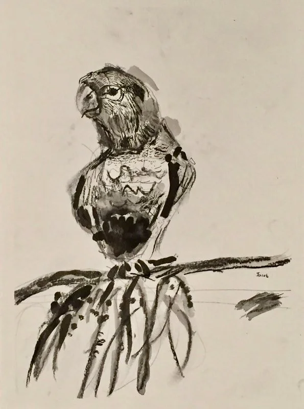 "My son loves art classes with Jeri. In his words, 'Jeri's fun and we do a lot of fun art projects. She's a good art teacher.' Thank you for making art so accessible and exciting for our kids..they are better humans for having known you." -M.A. Bell