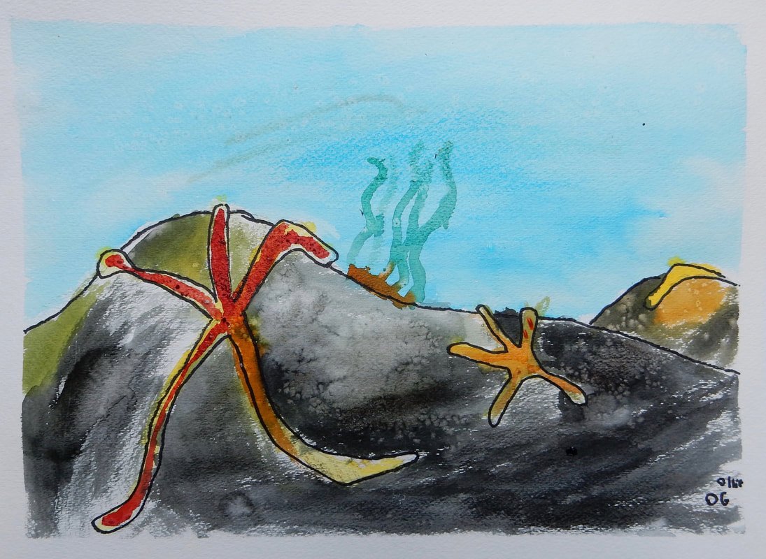 "My kids love you so much. Your classes are so amazing and you are so fantastic with the kids." -C.Owen