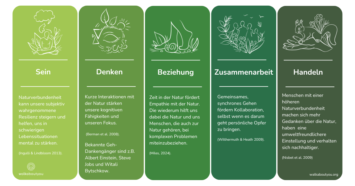Infografik: Wissenschaftliche Effekte von Natur auf die 5 IDG-Kategorien Sein, Denken, Beziehung, Zusammenarbeit und Handeln