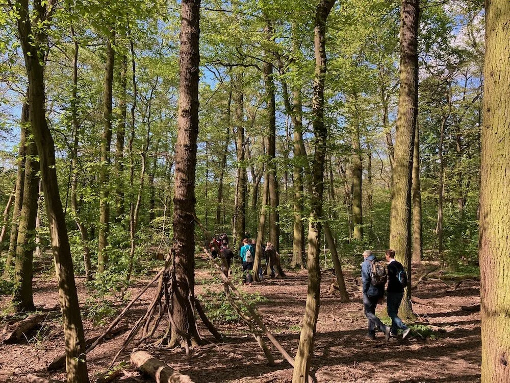 Inner Development Walk Stadtwald im Unterholz