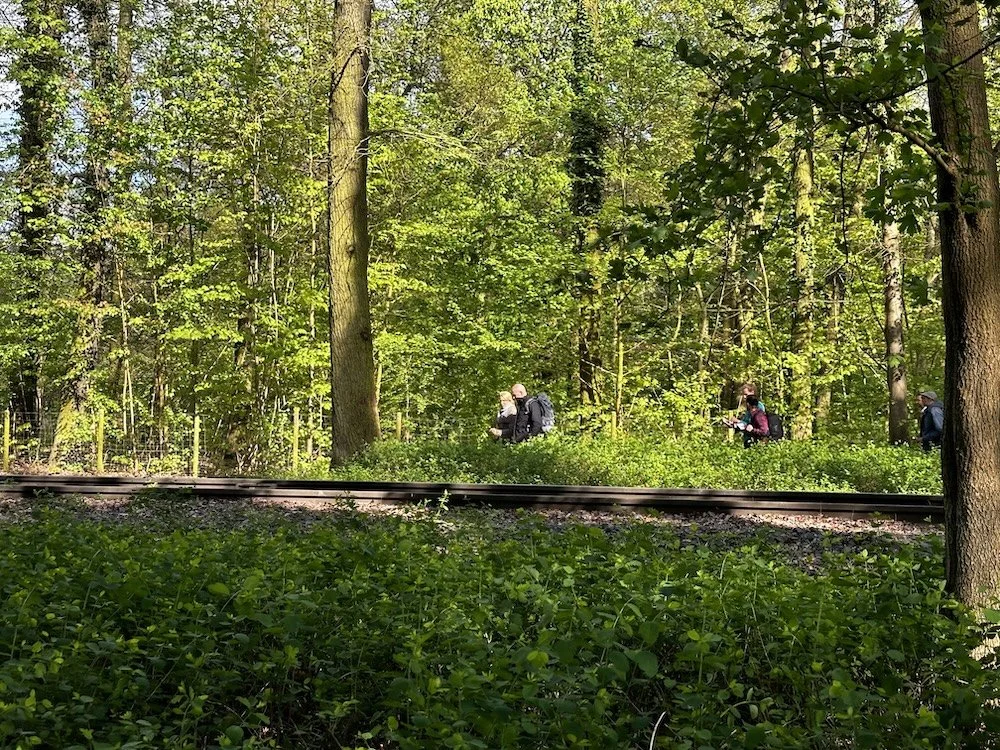 Teilnehmende des IDG Walks gehen im Grünen