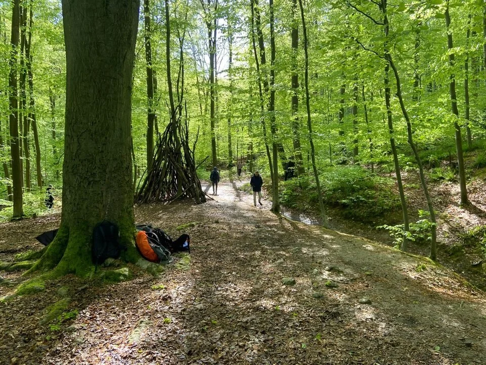 walkaboutyou-waldspaziergang-naturuebung-bonn-fruehling.jpg
