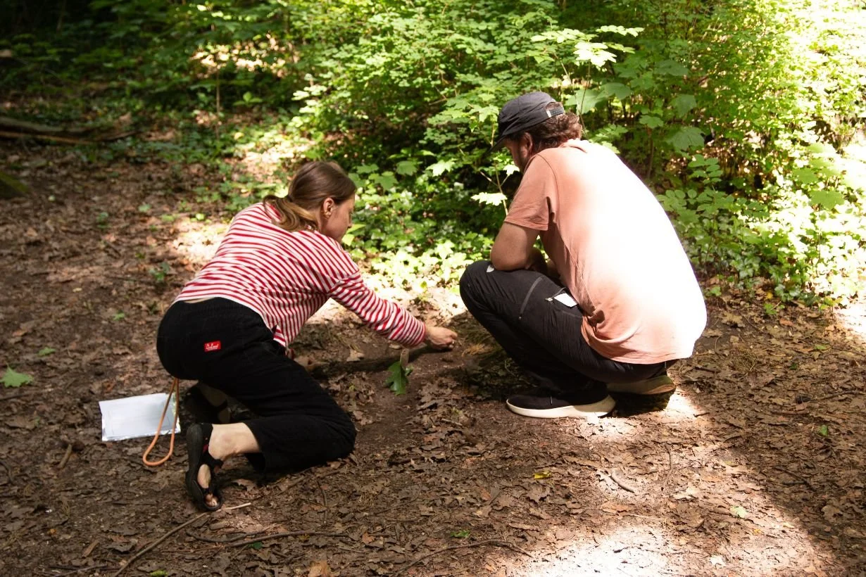 forest-design-workshop-co-kreation-naturerkundung-waldboden-koelner-stadtwald-2026.jpg