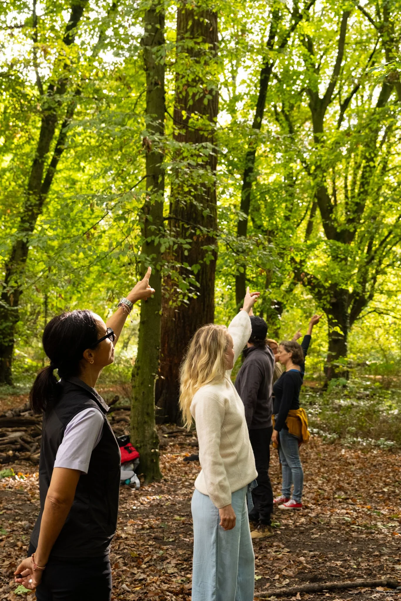 Zwei Frauen stehen mit einer Gruppe im Wald und zeigen Richtung Sonne.