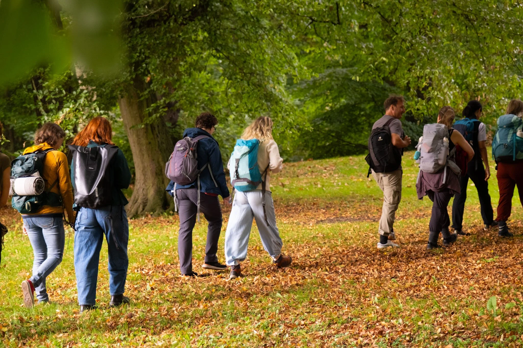 Eine Gruppe wandert durch Wald und Wiese und spricht und lacht miteinander.