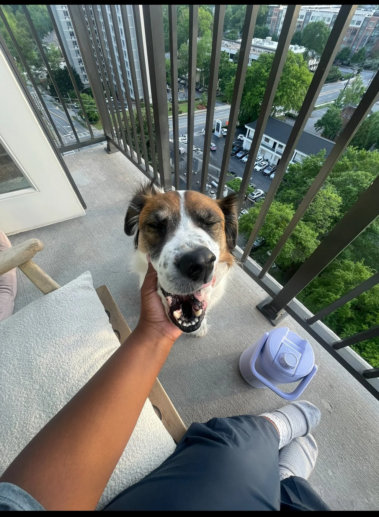 A person sitting on a balcony, petting a happy, smiling dog with closed eyes. The balcony overlooks a city street with buildings, trees, and parked cars.