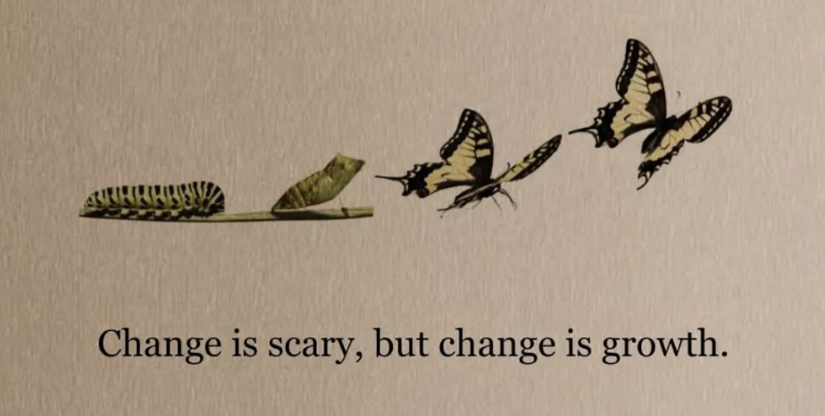 Career Identity Series 04:Why Waiting for Clarity Keeps So Many Smart People Stuck