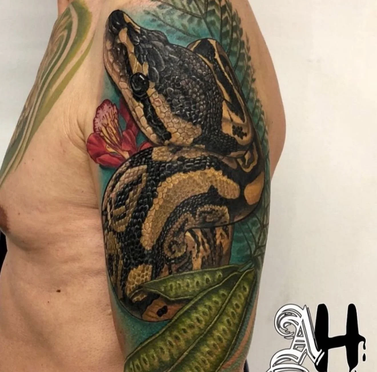 WhatsApp Image 2026-02-06 at 2.56.36 PM.jpeg