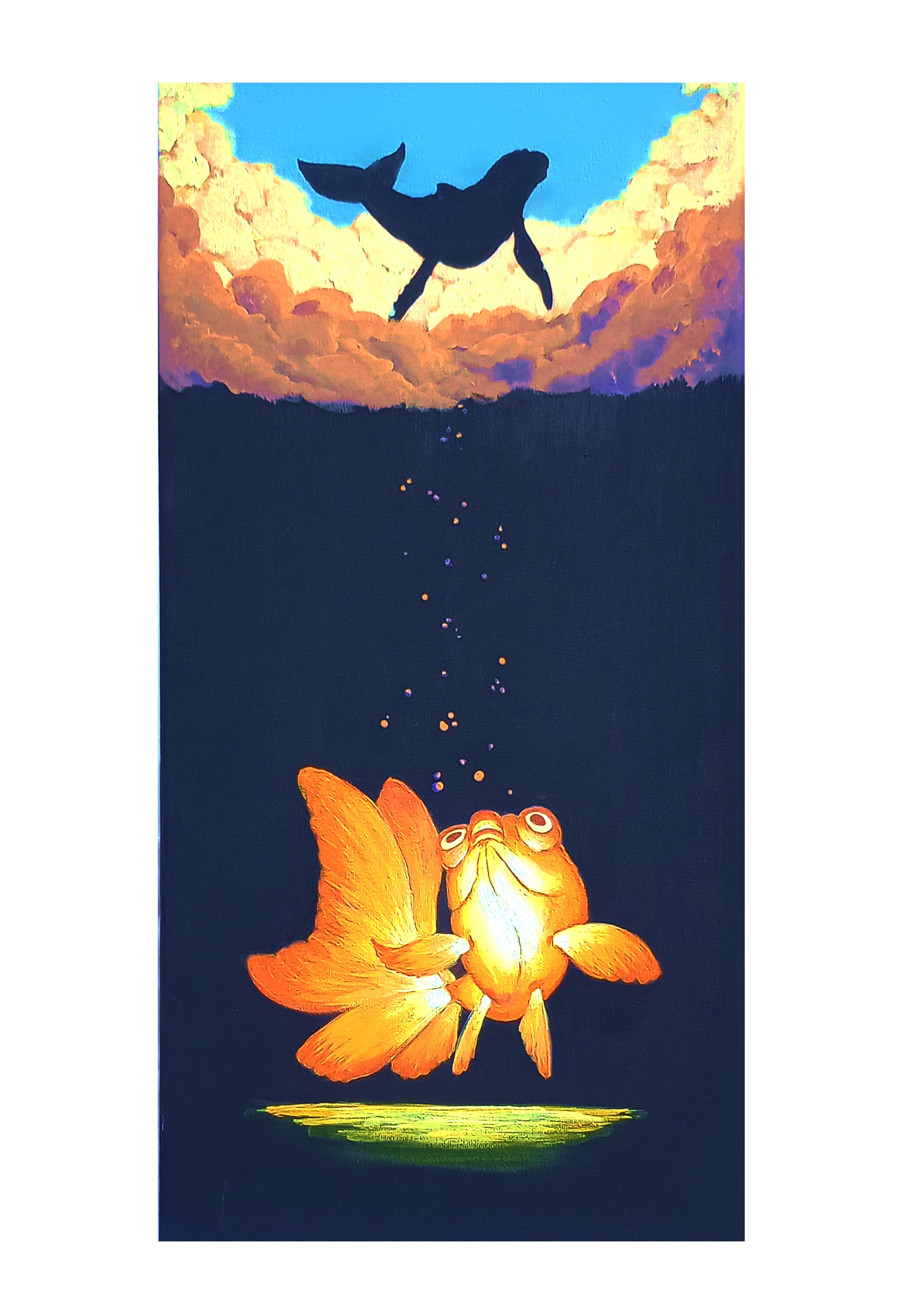 DREAMER GOLDFISH.jpg