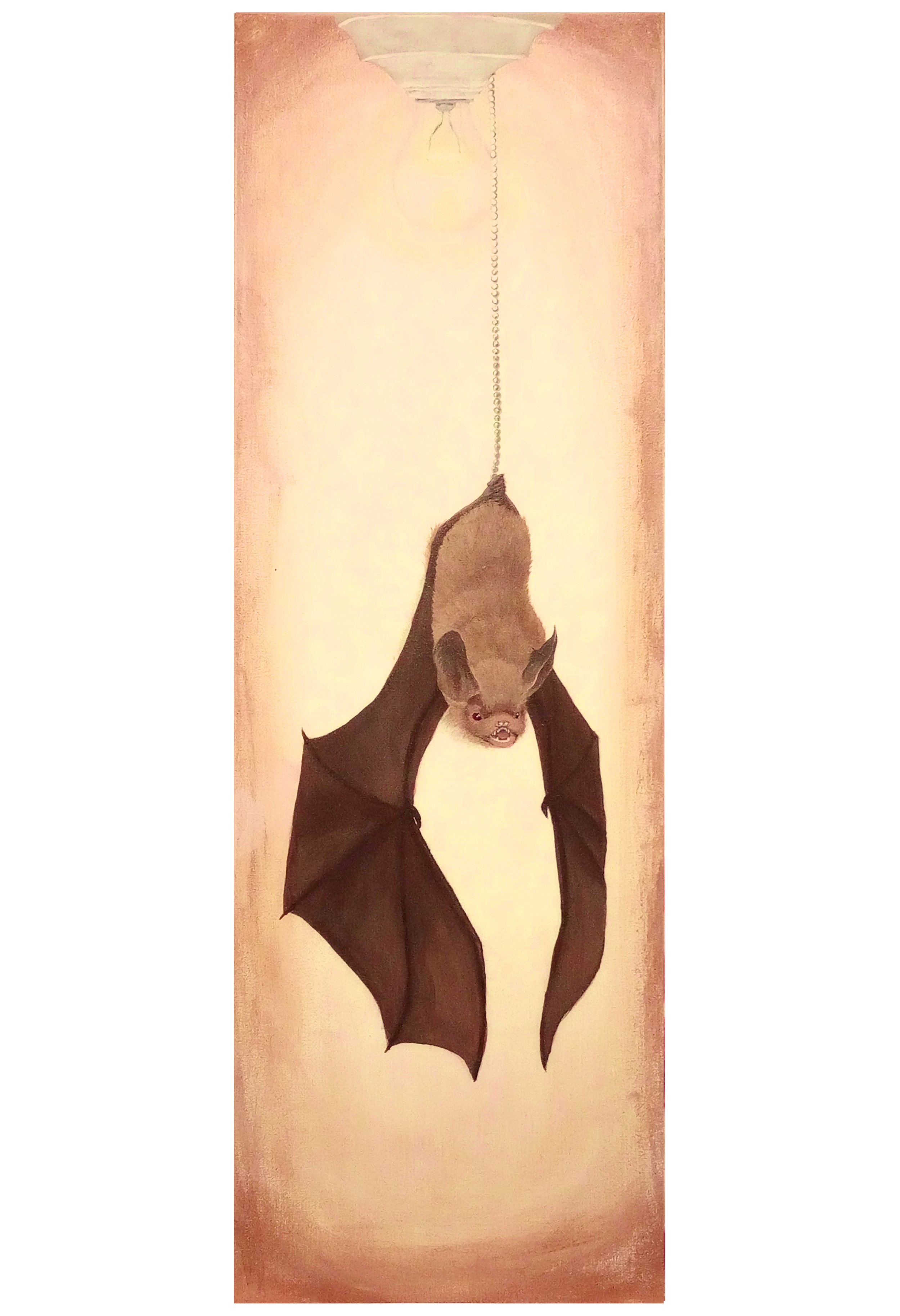 IN THE LIGHT BAT.jpg