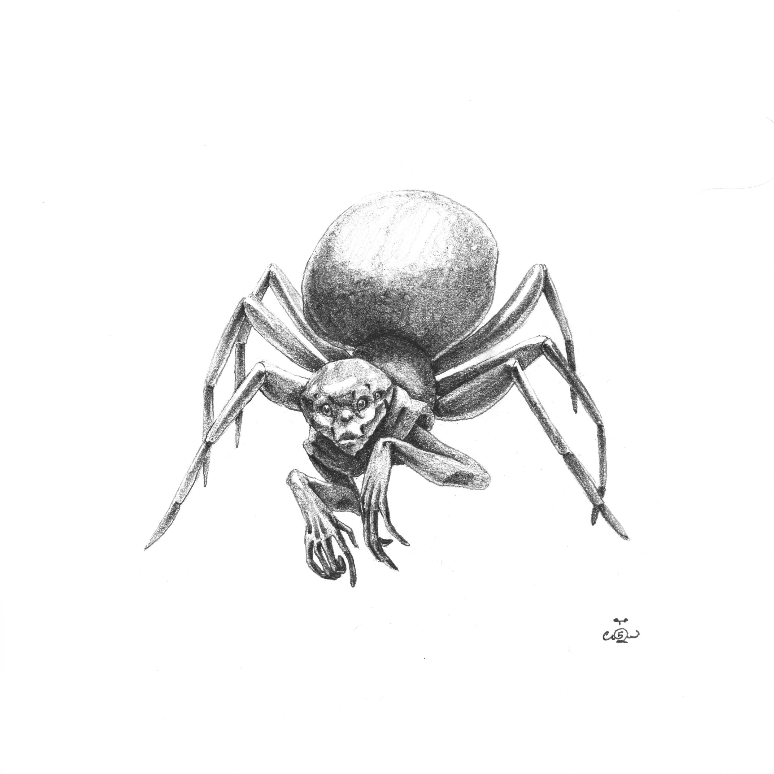 pencil fae spider.png