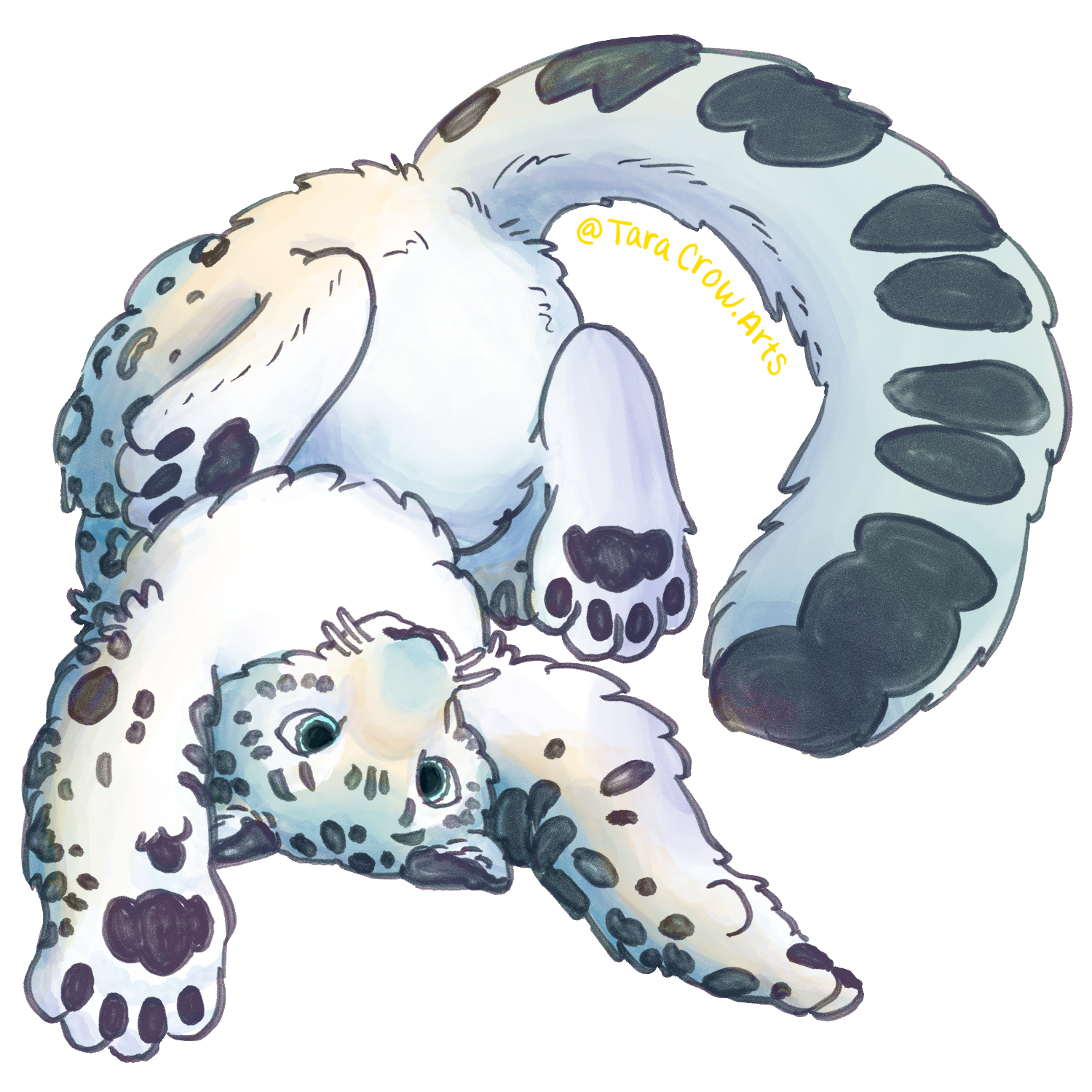 3 in. Sticker-SNOWLEOPARD.png