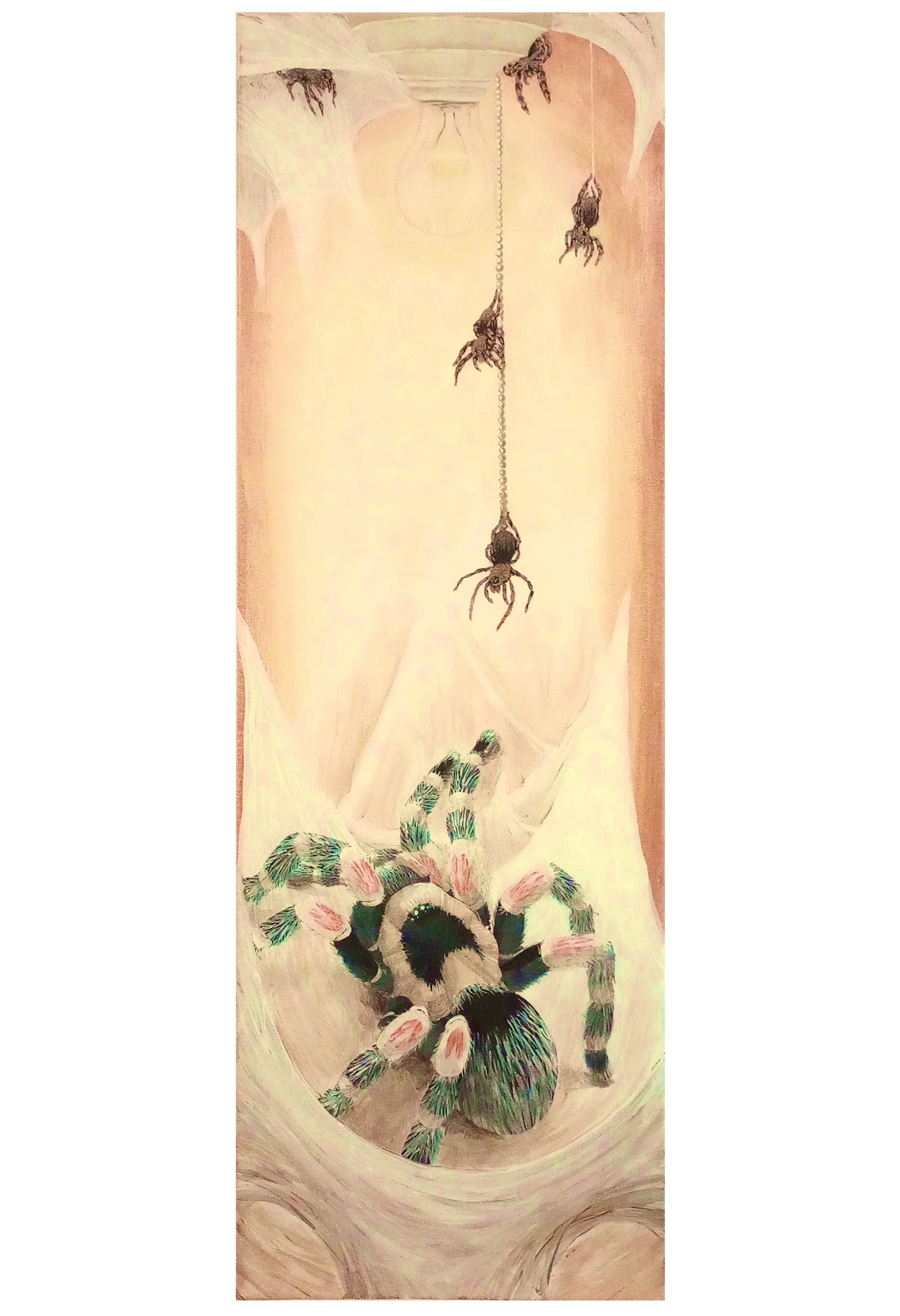 IN THE LIGHT SPIDER.jpg