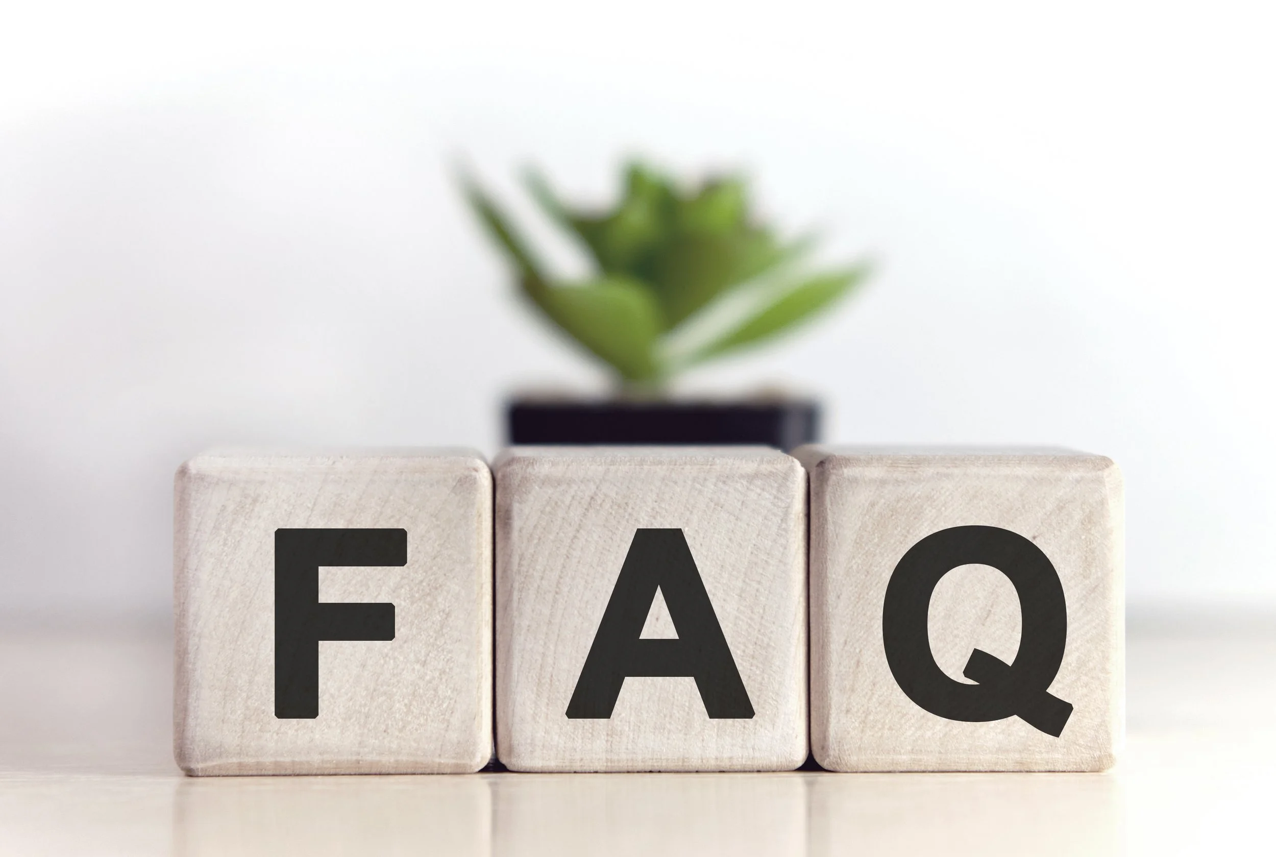 Wooden blocks spelling 'FAQ' in front of a small potted succulent plant.