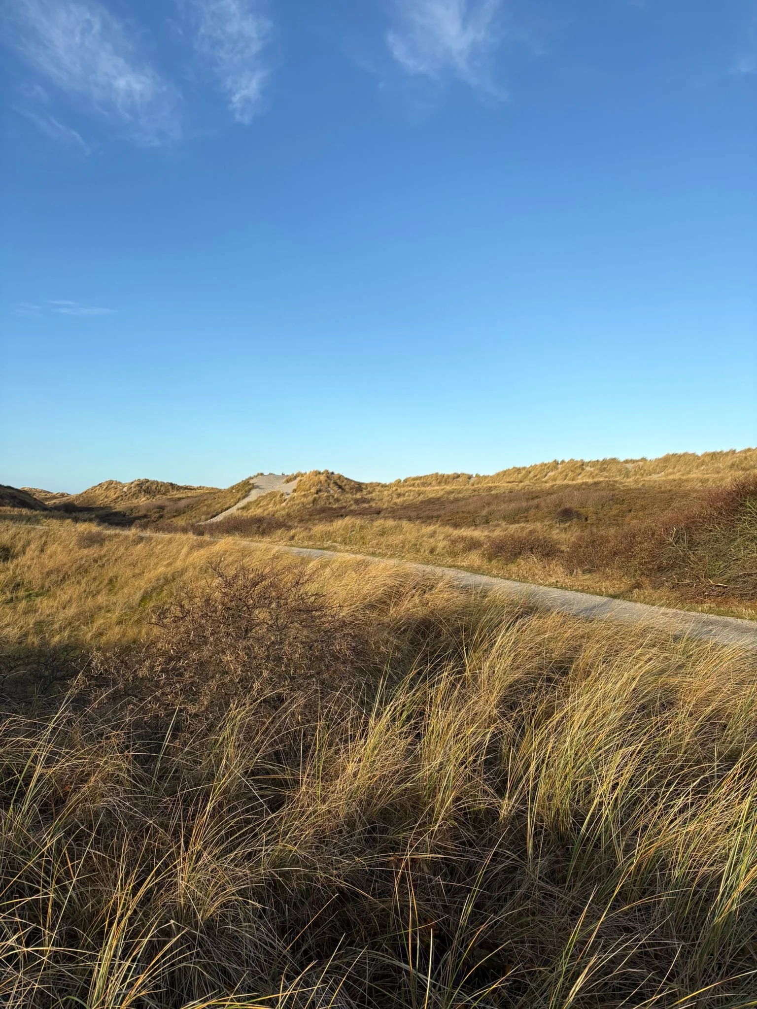 Een klein virus, een groot inzicht: hoe ziek zijn me liet zien hoeveel ik ben gegroeid