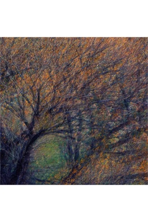 Bosque Dorado