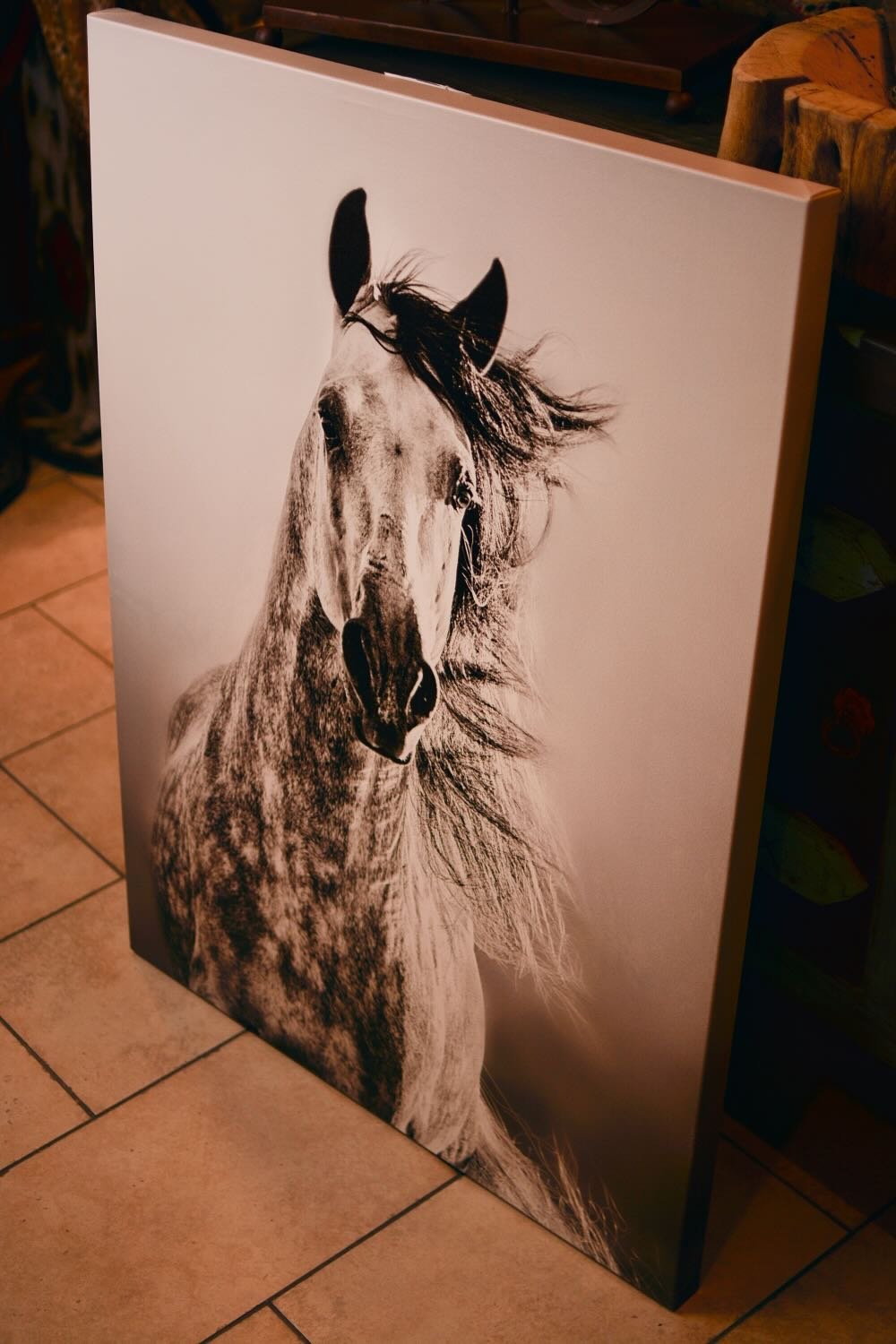Southwest Spirit on Canvas: New Horse, Donkey & Steer Prints Now In-Store