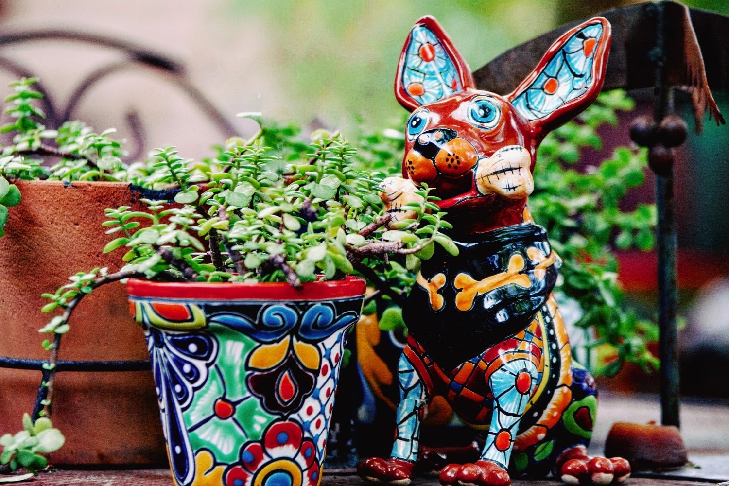 Colorful Talavera planter and Chihuahua dog in a Hacienda style patio. All handmade in Mexico. Visit Milagros Rústicos in Arizona today.