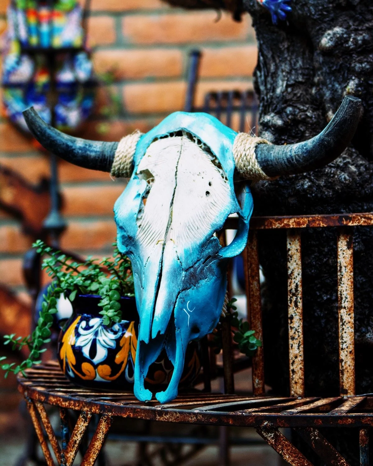 Hand painted, authentic cow skull in a Hacienda style patio with talavera fountain, planters and metal tree bench. All handmade in Mexico. Get it now at Milagros Rústicos in Arizona.