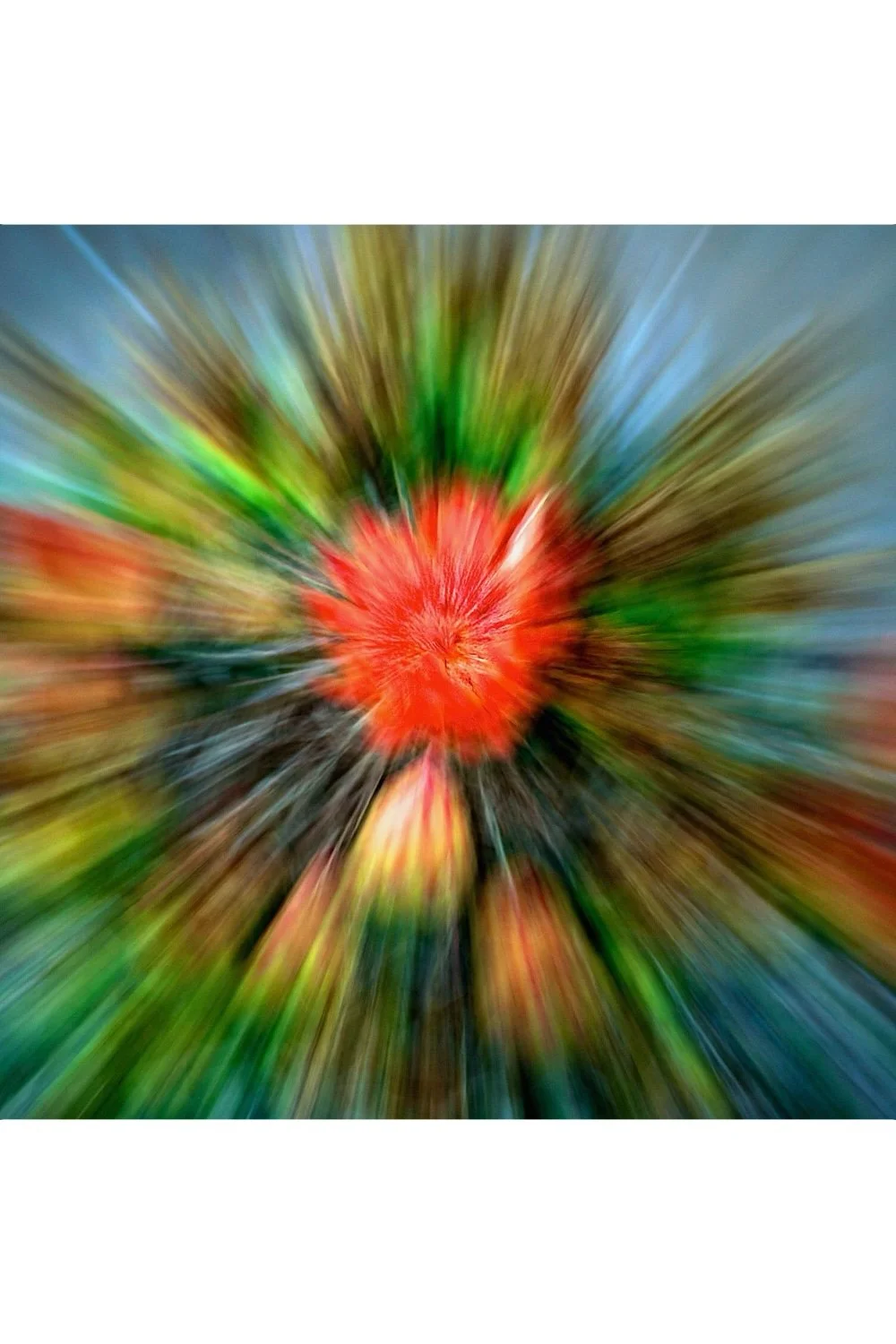 Explosión de Colores