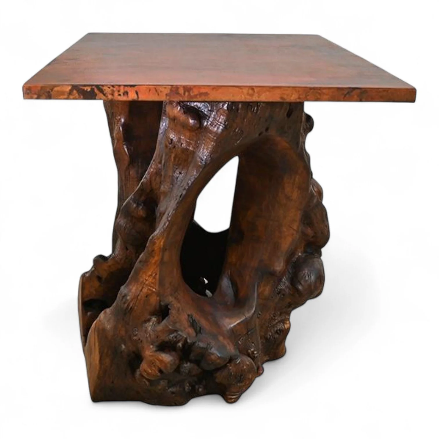 Raíz de Saguaro Entry Table