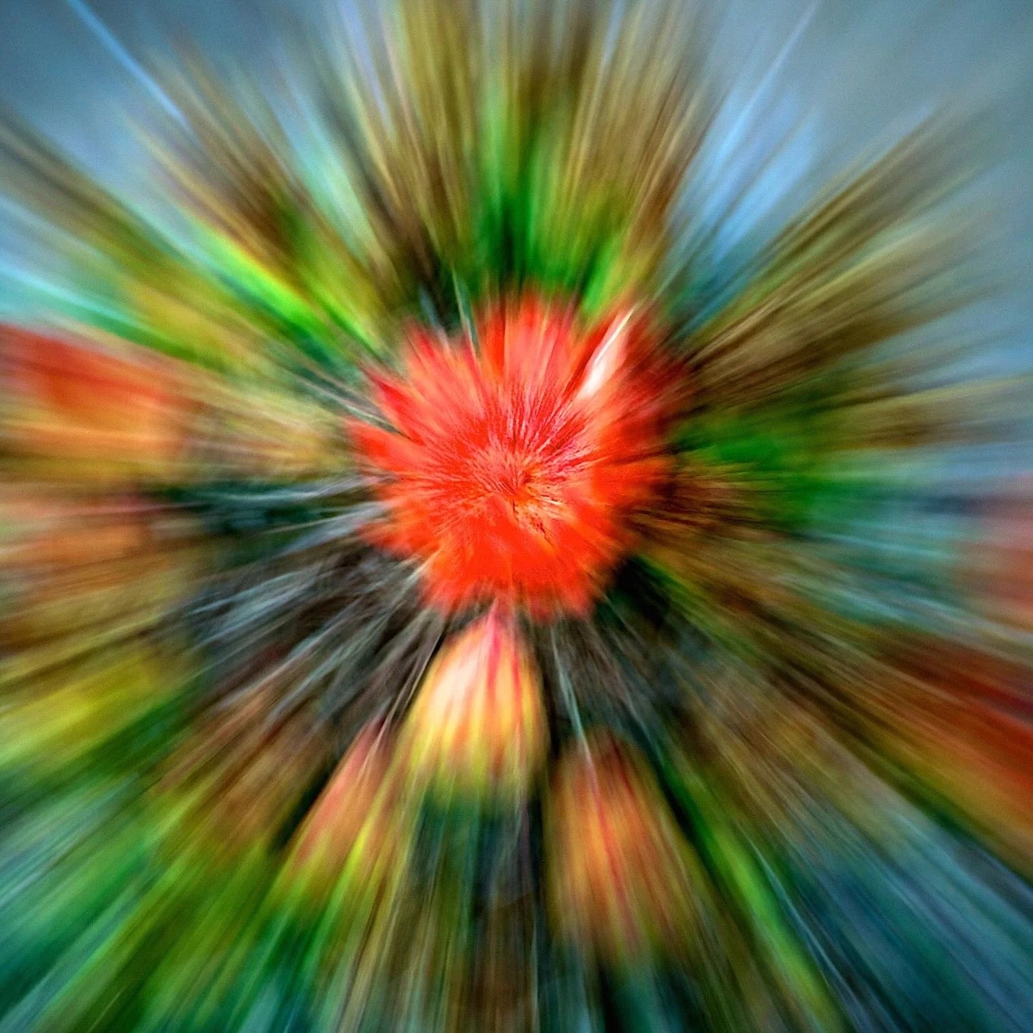 Explosión – Barrel Cactus Photography, Cochran Ghost Town Arizona