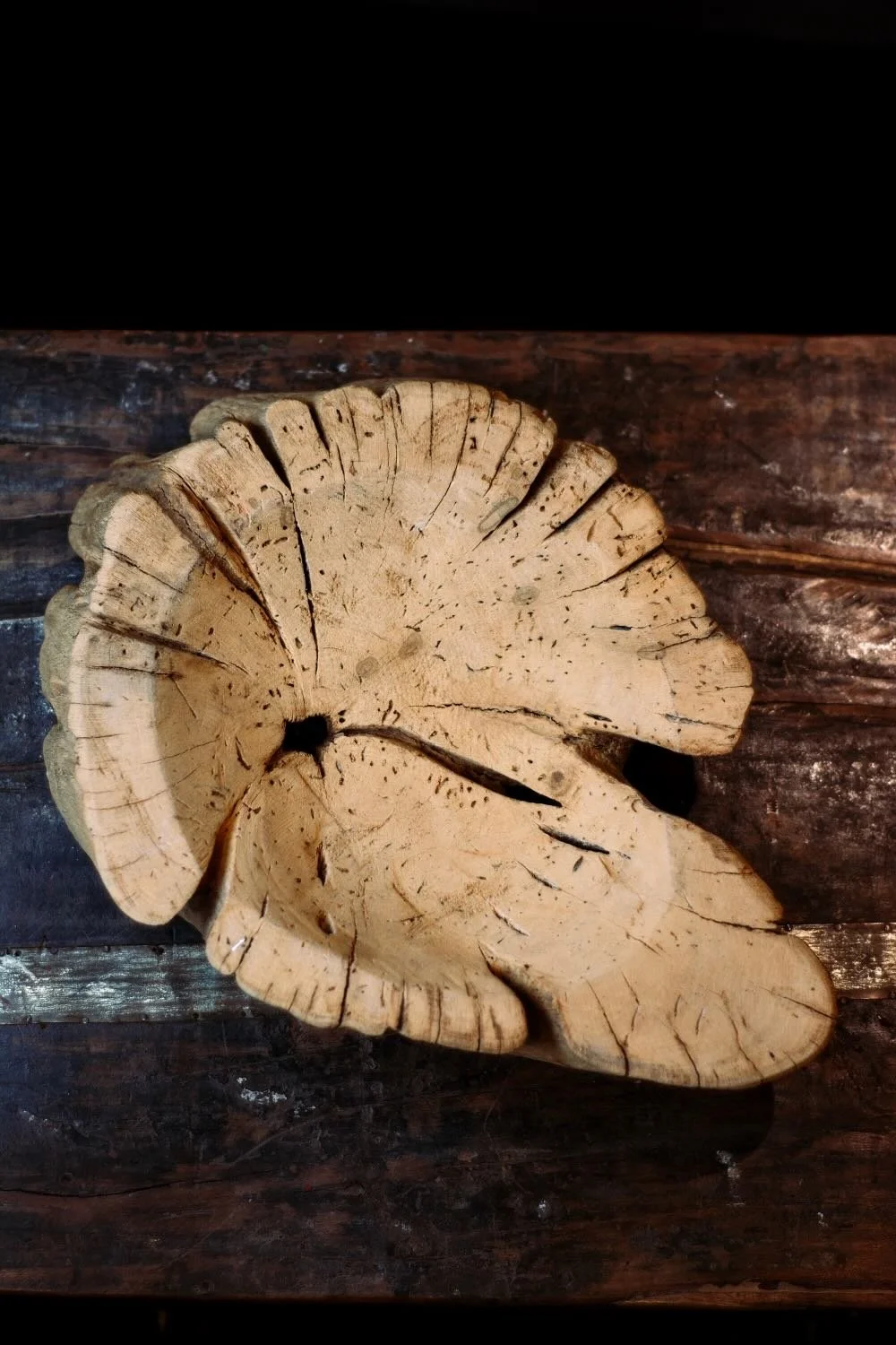 Primitive Saguaro Bowl. 21" hand-carved bowl made from authentic Mexican Saguaro cactus wood. Unique, one-of-a-kind rustic centerpiece.