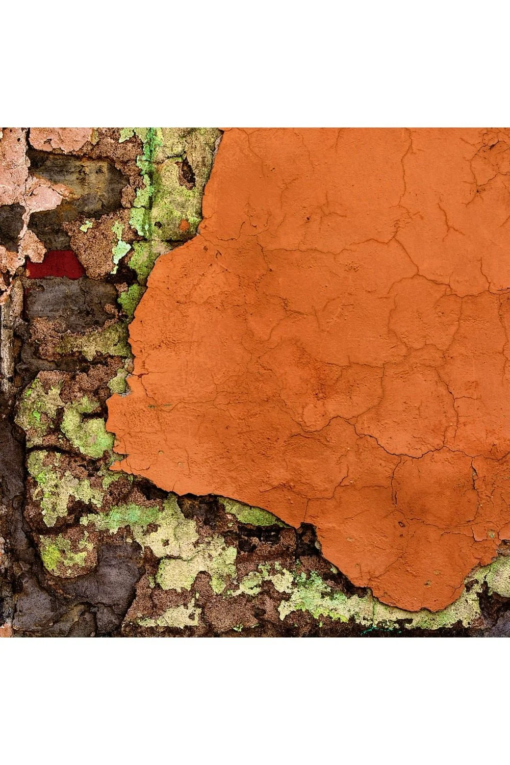 Shop Naranja by Rich Helmer, vibrant abstract wall texture photography from Superior, Arizona. Printed on High Definition Metal with rich color and detail.