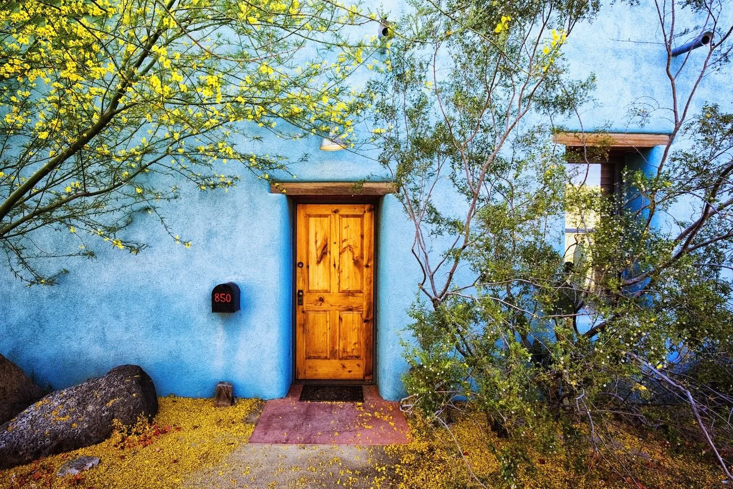 850 – Sky Blue Adobe with Palo Verde Blossoms, Barrio Viejo Tucson