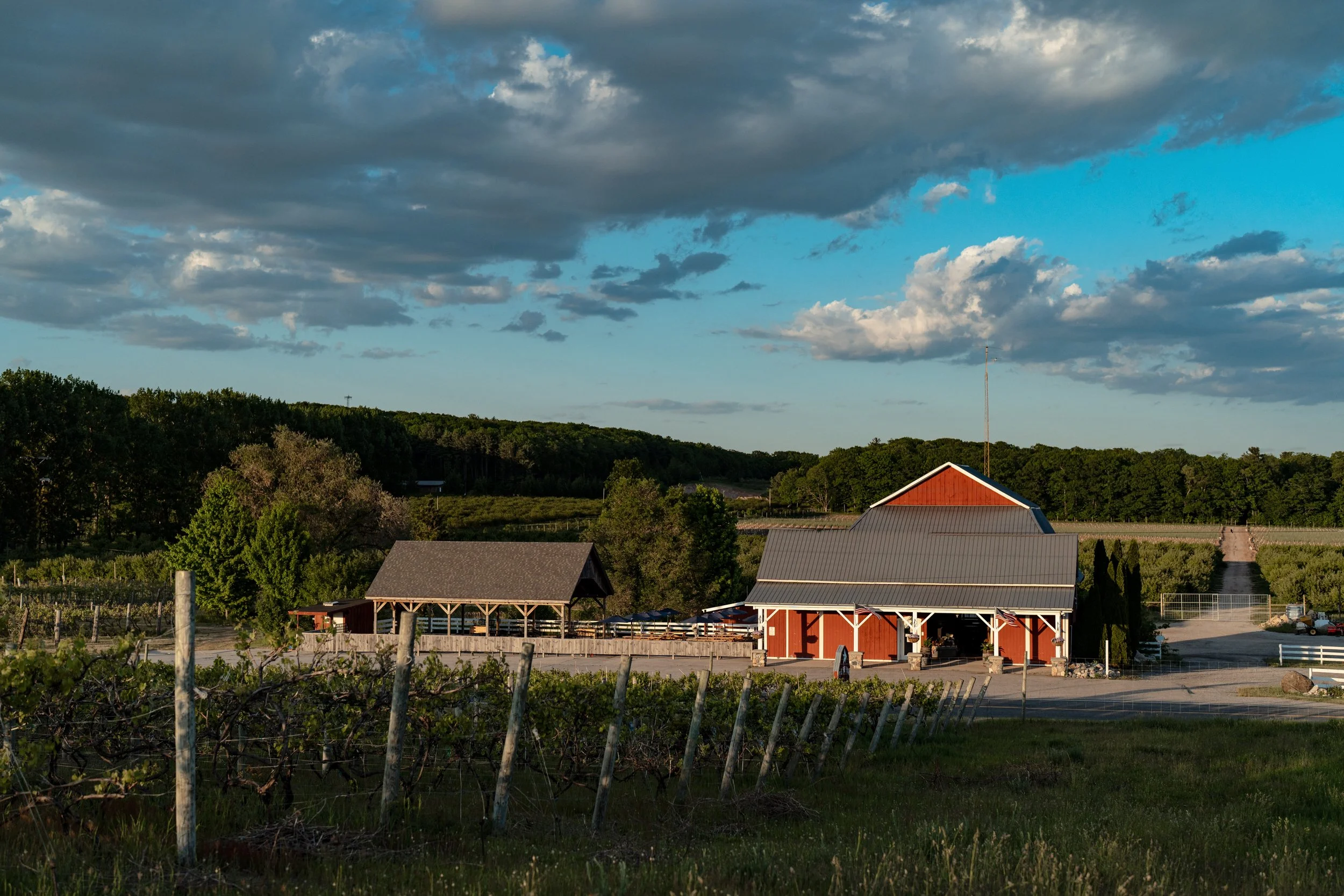 263-Fox-Winery-060126.jpg
