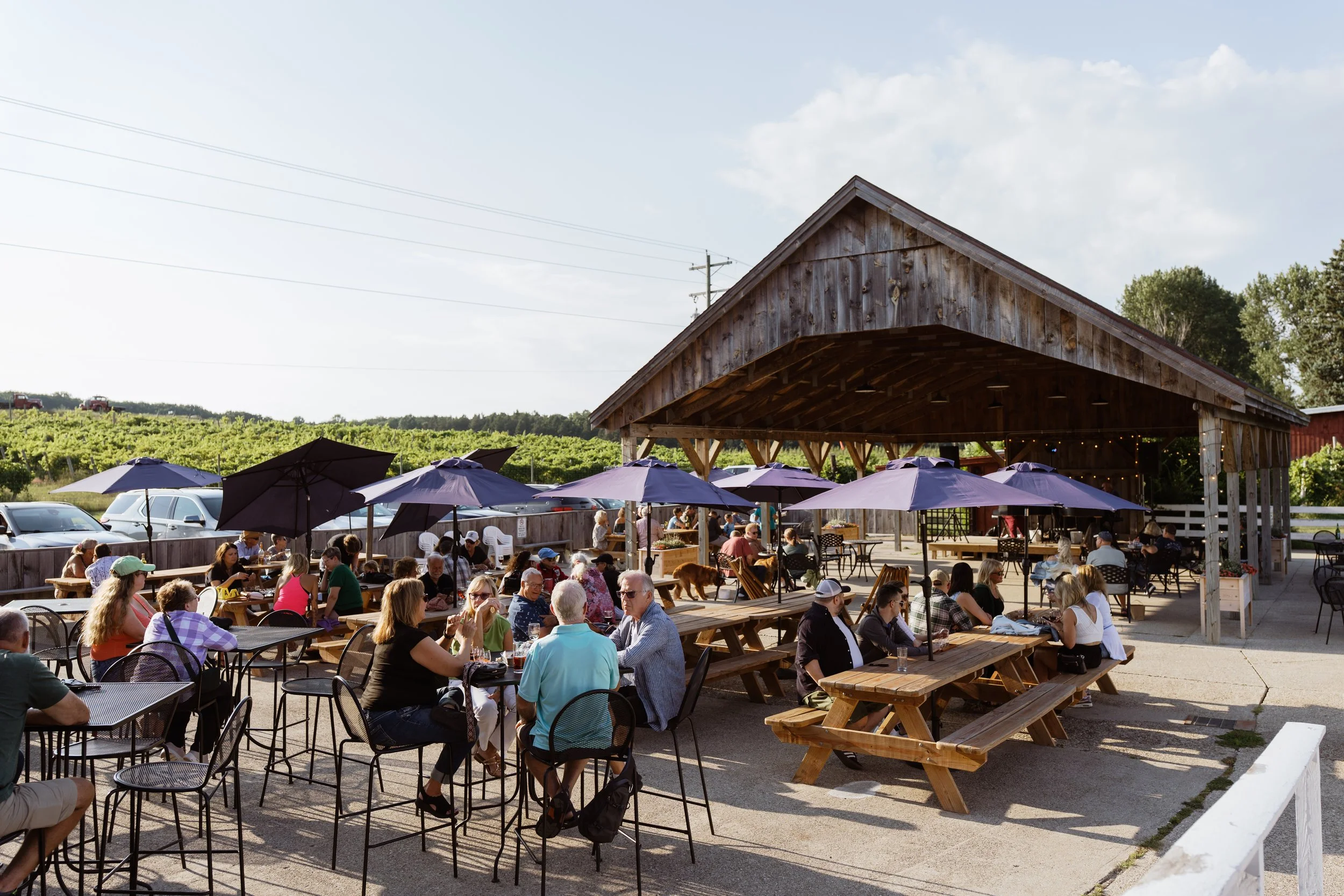 202-Fox-Barn-Music.jpg
