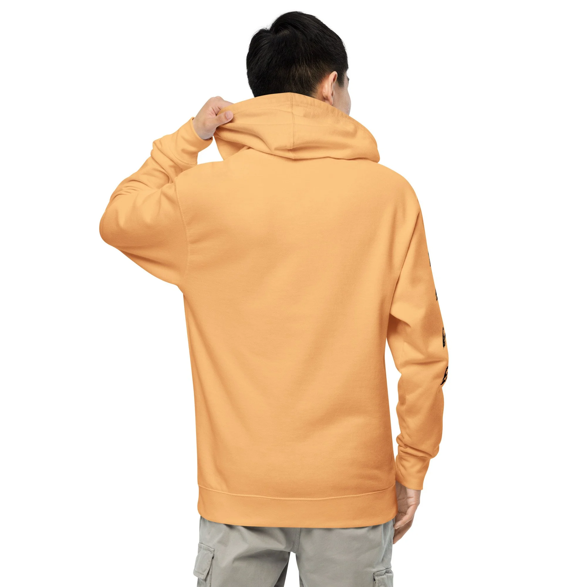 unisex-midweight-hoodie-peach-back-695ff1bc4ea80.jpg