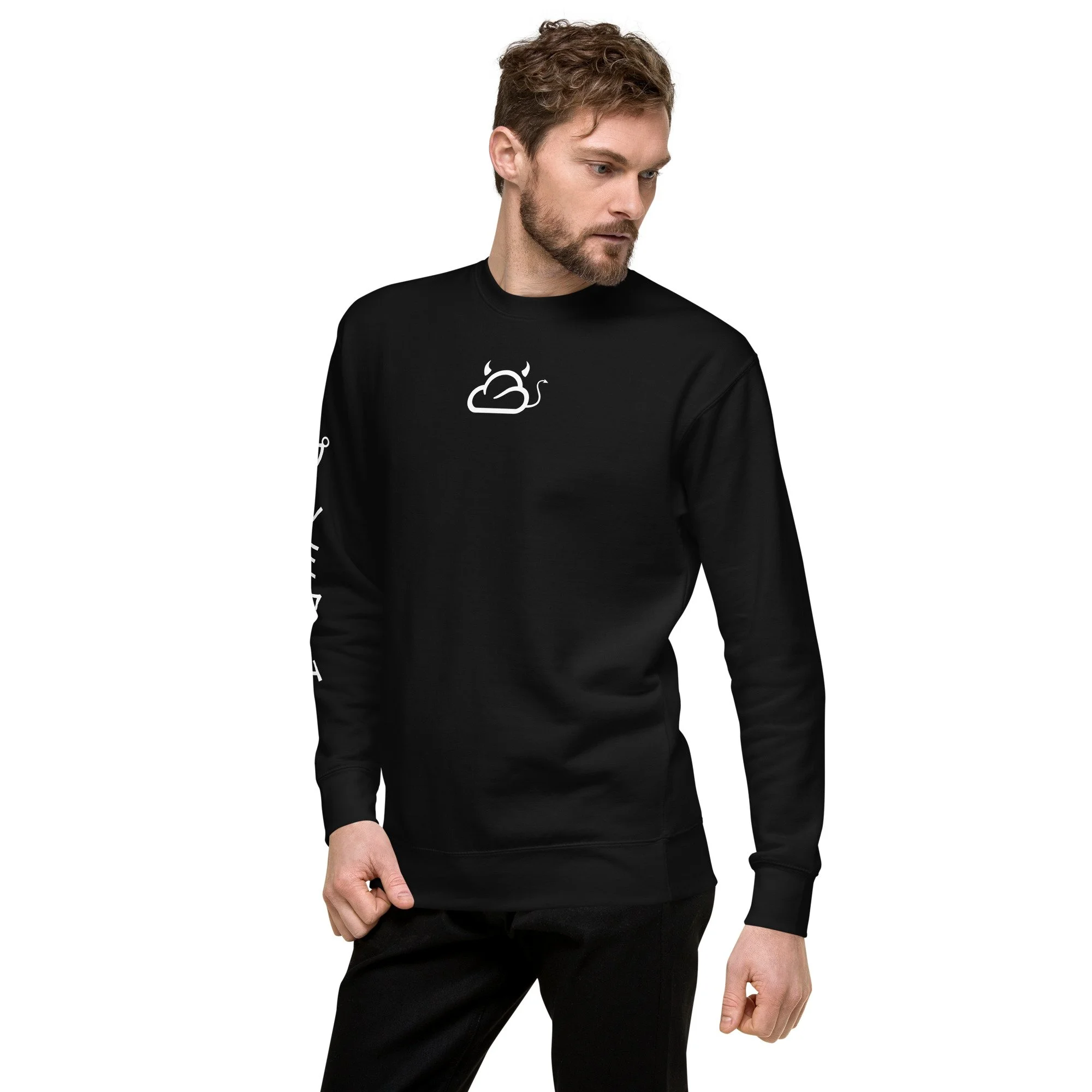 unisex-premium-sweatshirt-black-left-front-696048e918dae.jpg