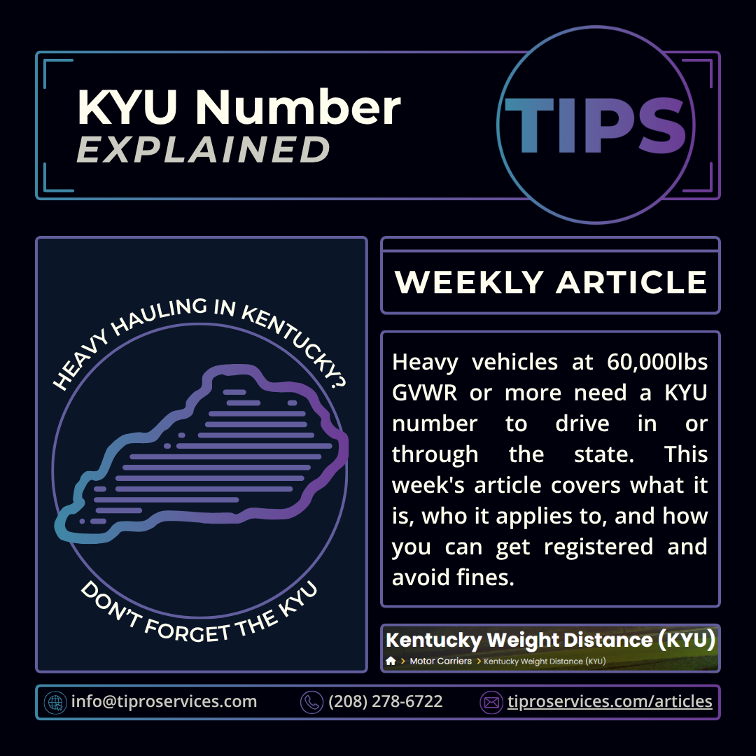 KYU Number Explained: Who Needs It and How to Get One