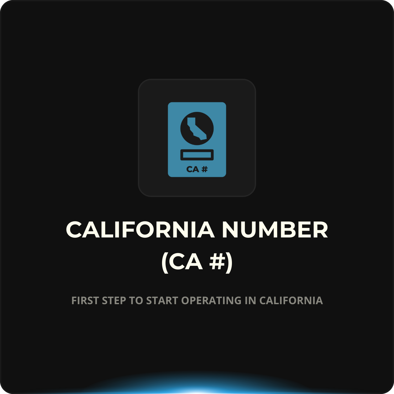 California Number (CA #)